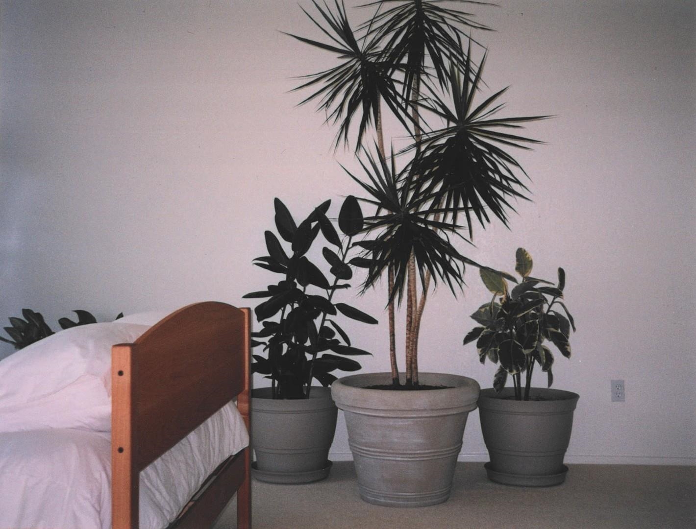 Detail Gallery Image 14 of 30 For 4001 Branscomb Rd, Laytonville,  CA 95454 - 2 Beds | 2 Baths