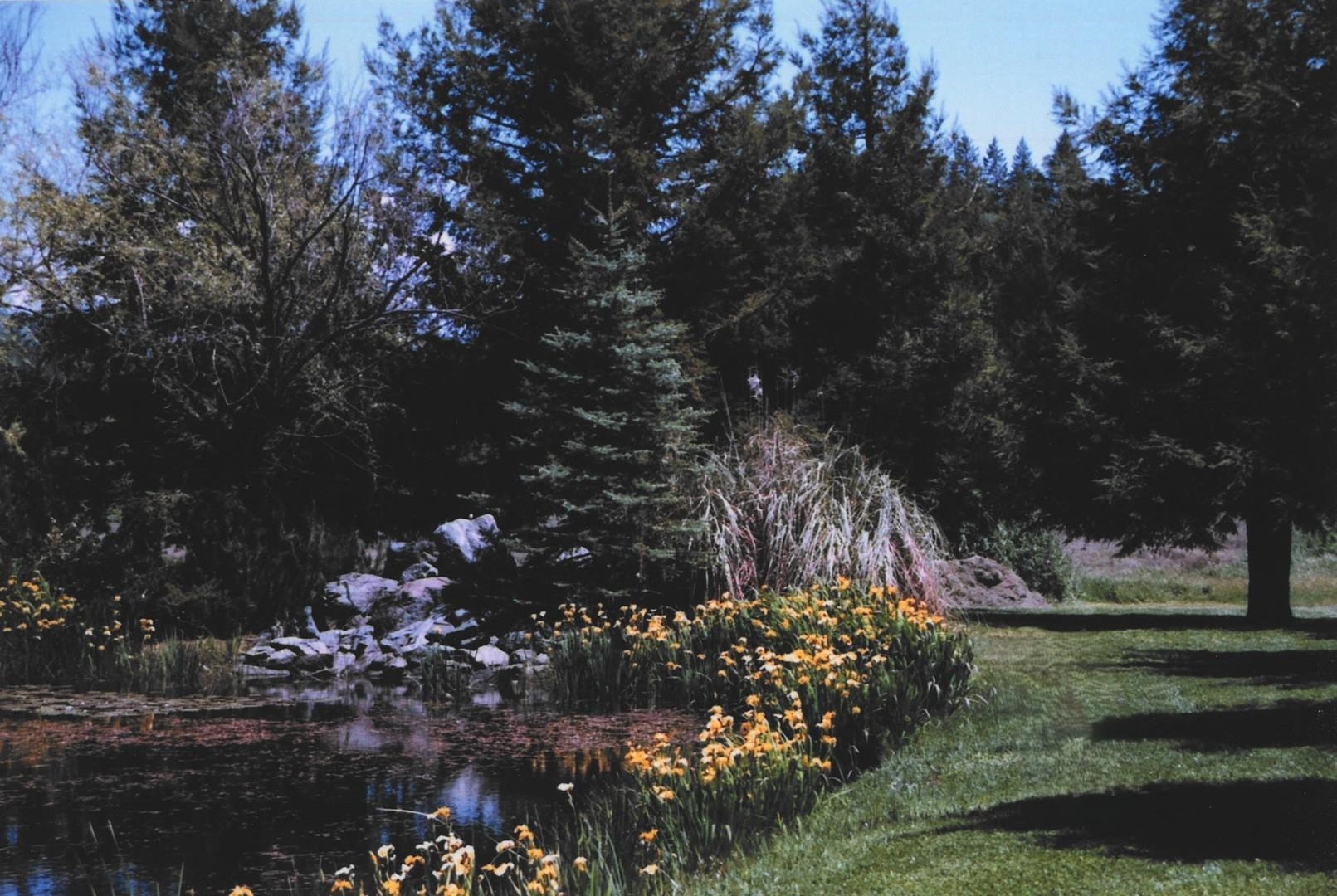 Detail Gallery Image 4 of 30 For 4001 Branscomb Rd, Laytonville,  CA 95454 - 2 Beds | 2 Baths