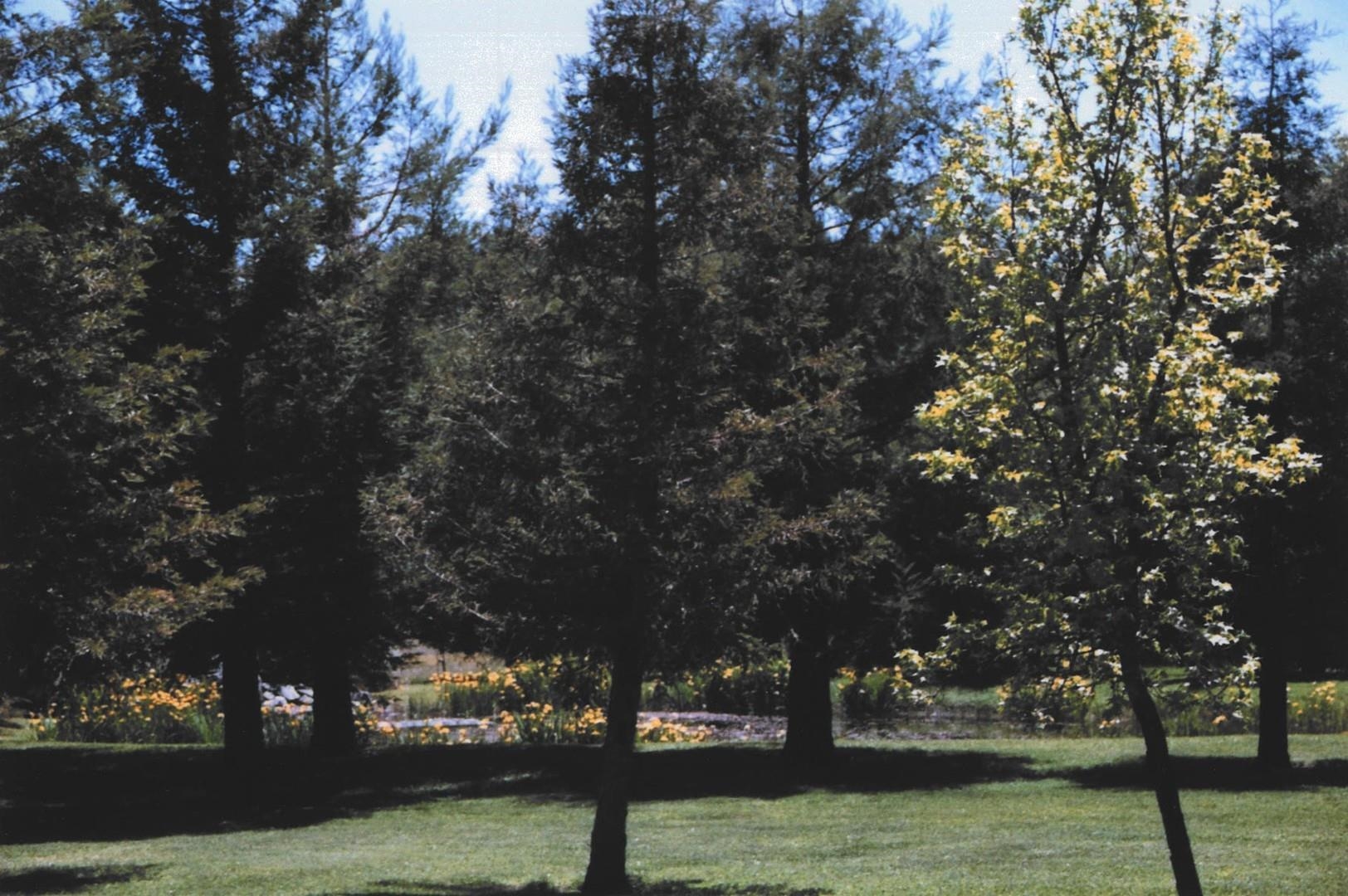 Detail Gallery Image 6 of 30 For 4001 Branscomb Rd, Laytonville,  CA 95454 - 2 Beds | 2 Baths