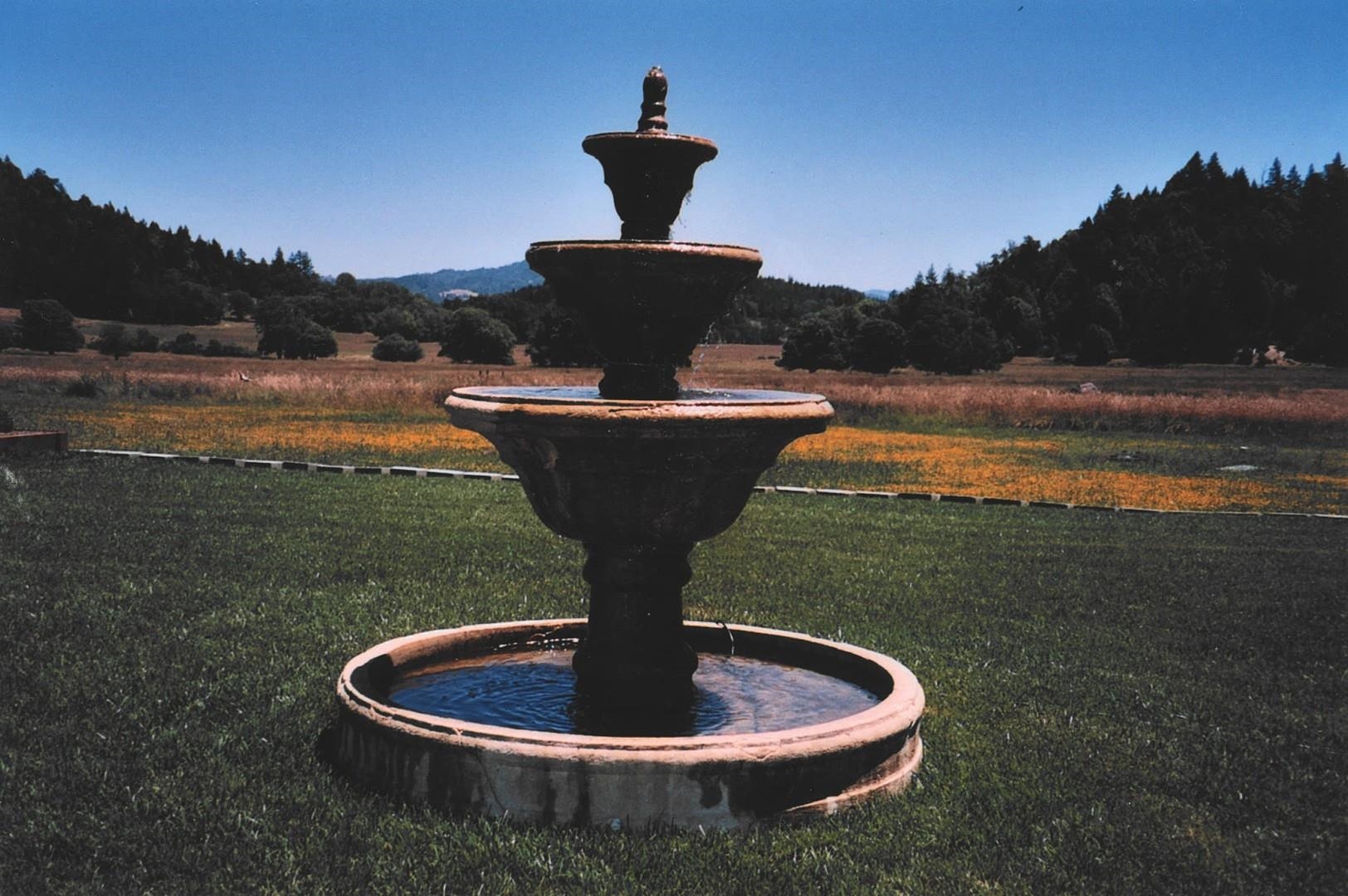 Detail Gallery Image 7 of 30 For 4001 Branscomb Rd, Laytonville,  CA 95454 - 2 Beds | 2 Baths