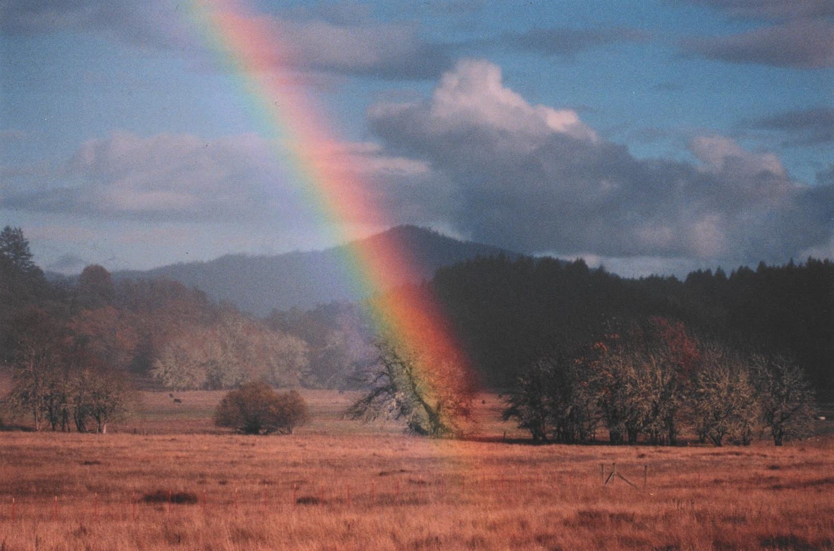 Detail Gallery Image 8 of 30 For 4001 Branscomb Rd, Laytonville,  CA 95454 - 2 Beds | 2 Baths