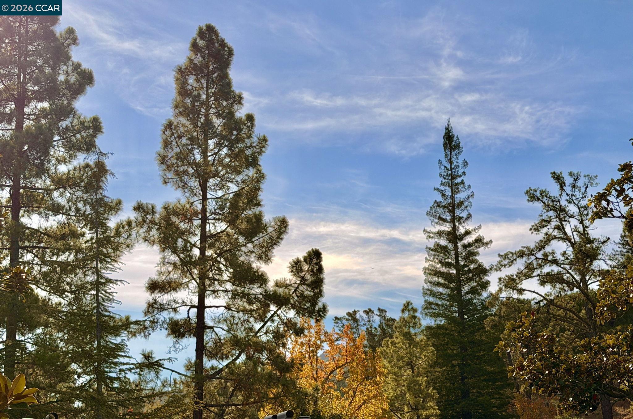 Photo #3: 41120872 Listing: Photo #3