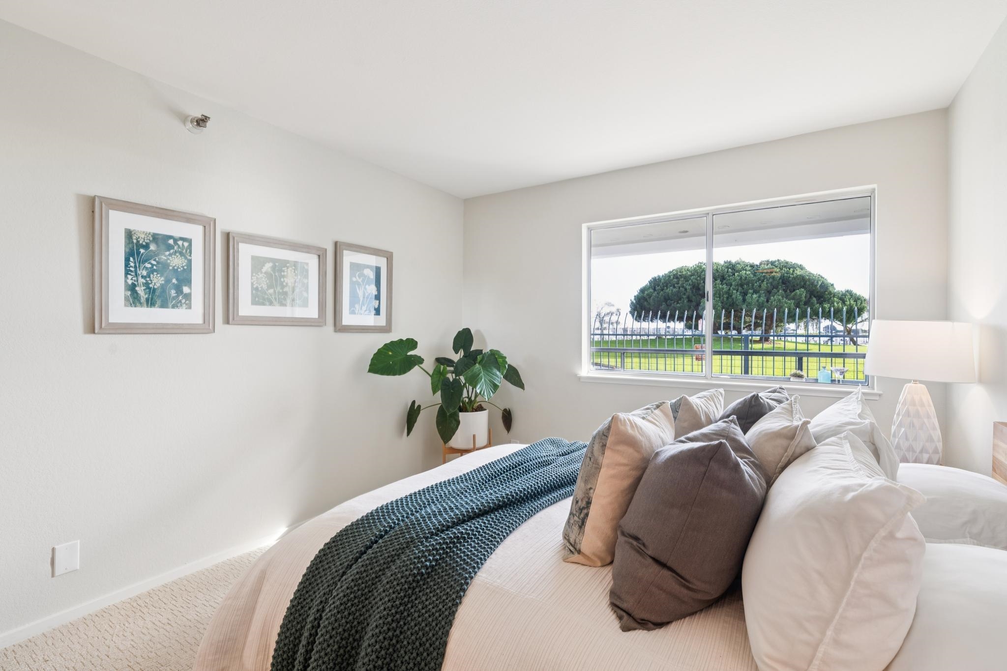 Photo #28: 41120873 Listing: Photo #28