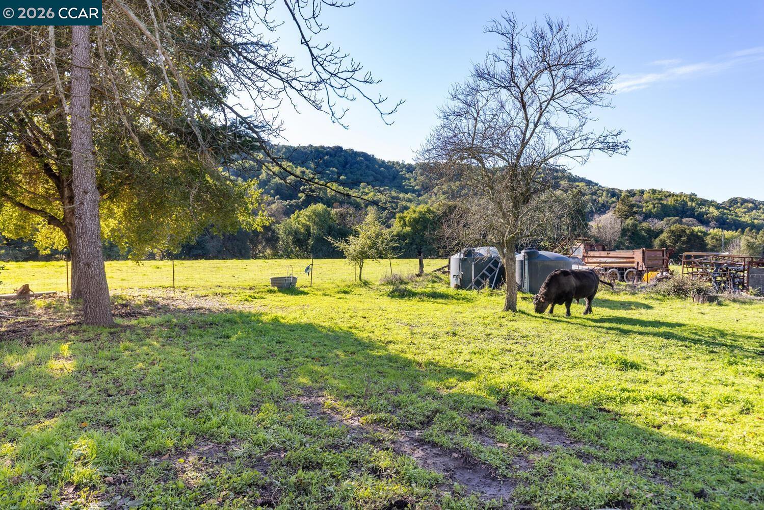 Detail Gallery Image 35 of 45 For 1015 Garcia Ranch Road, Martinez,  CA 94553 - 4 Beds | 2 Baths