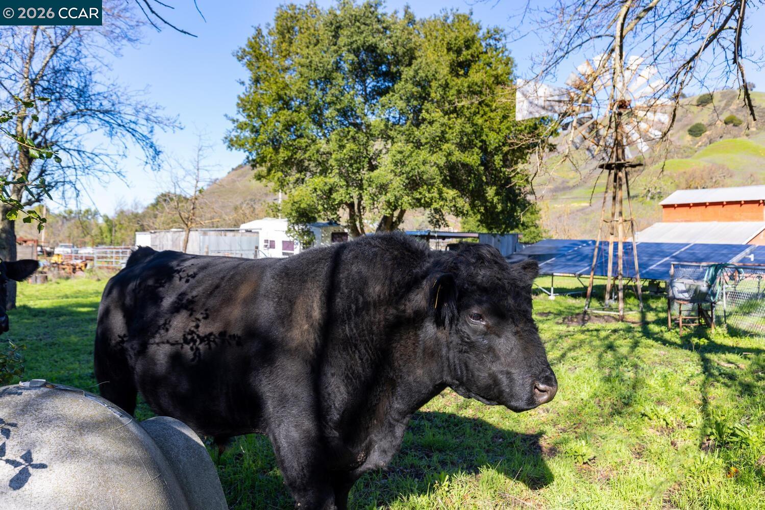 Detail Gallery Image 36 of 45 For 1015 Garcia Ranch Road, Martinez,  CA 94553 - 4 Beds | 2 Baths