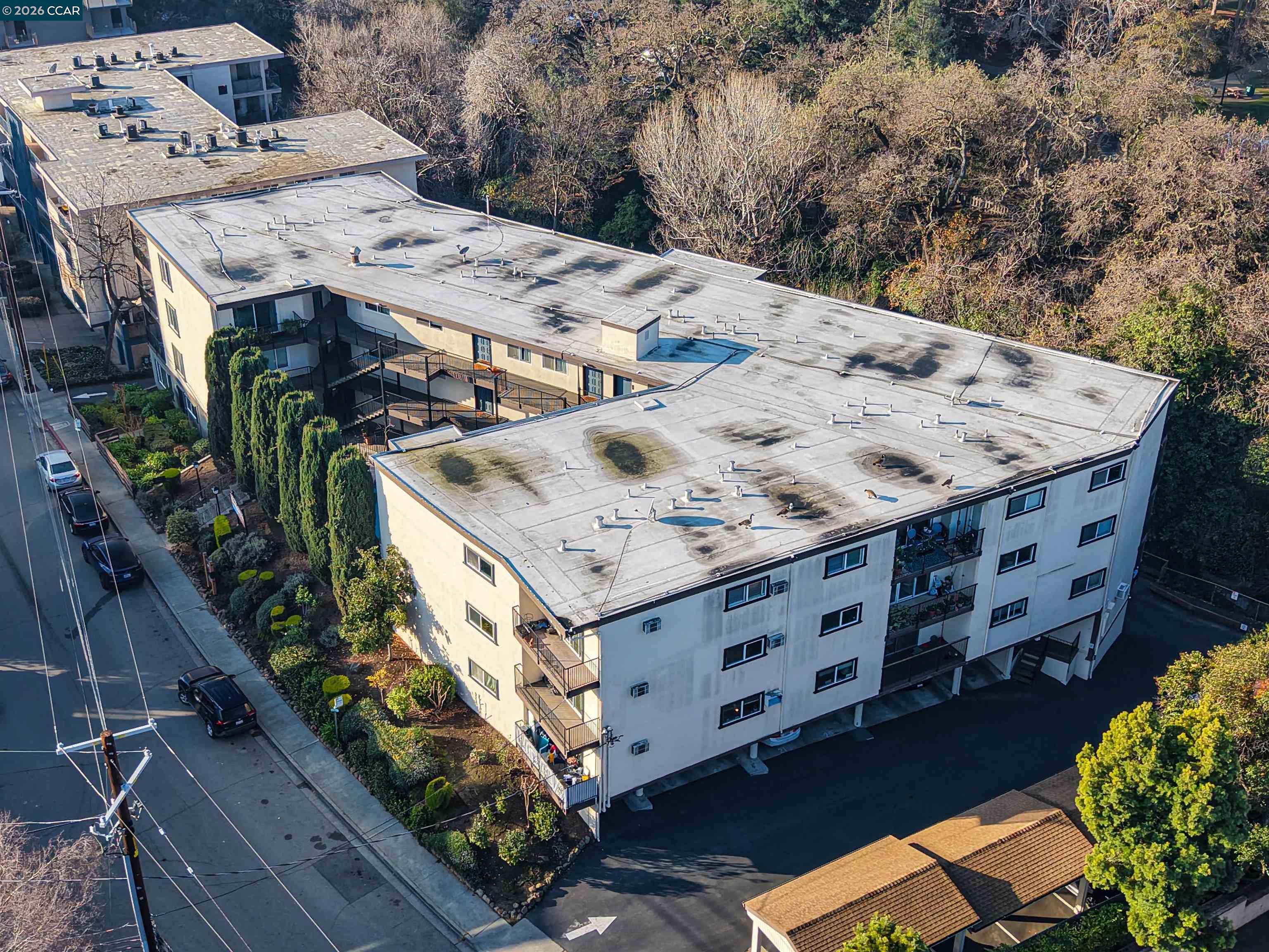 Photo #26: 41120924 Listing: Photo #26