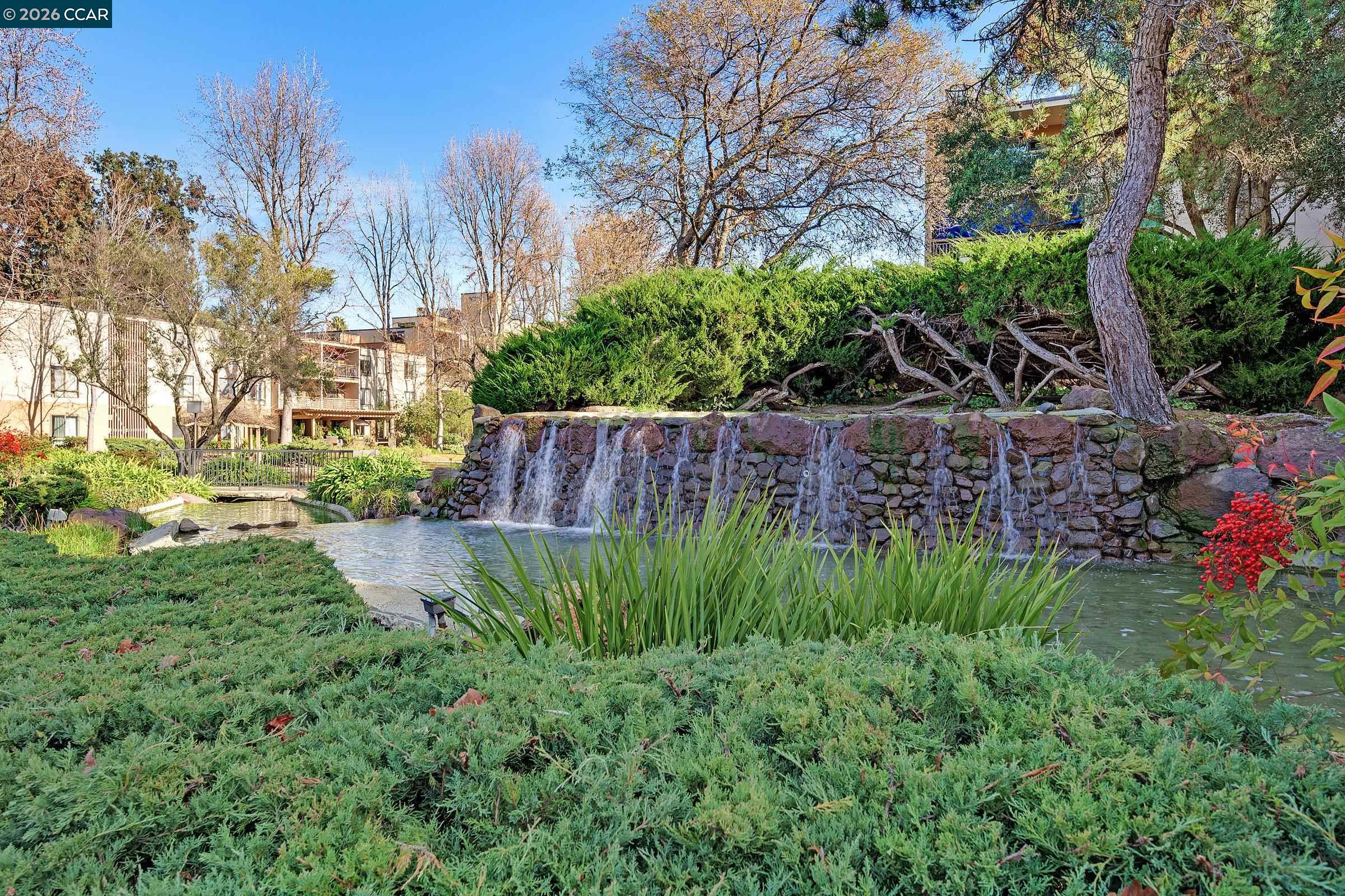 Photo #33: 41120926 Listing: Photo #33