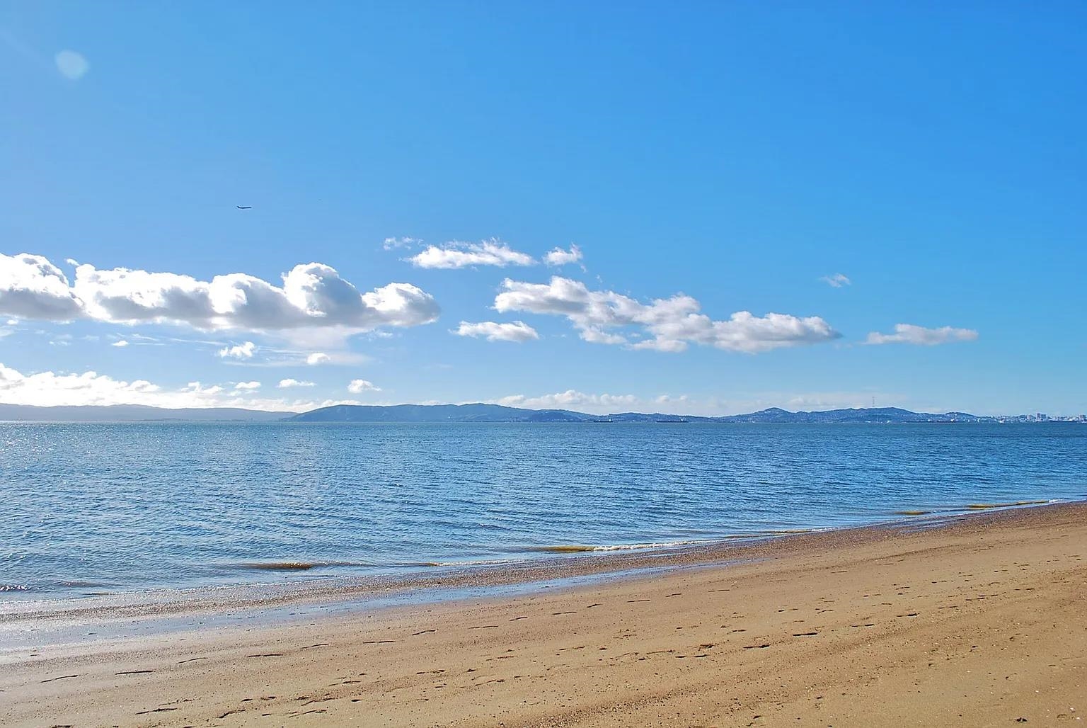 Photo #4: 41120929 Listing: Photo #4