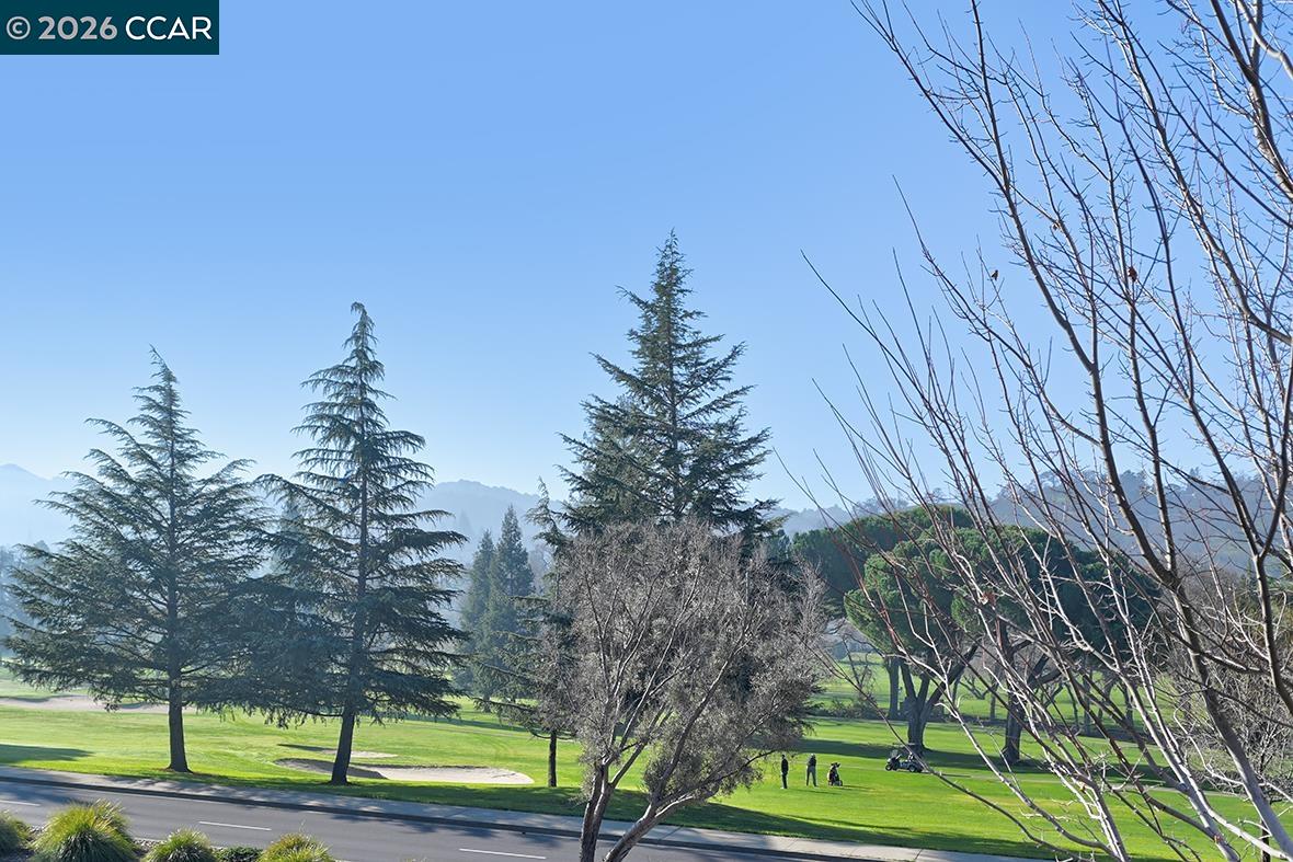 Photo #6: 41120949 Listing: Photo #6