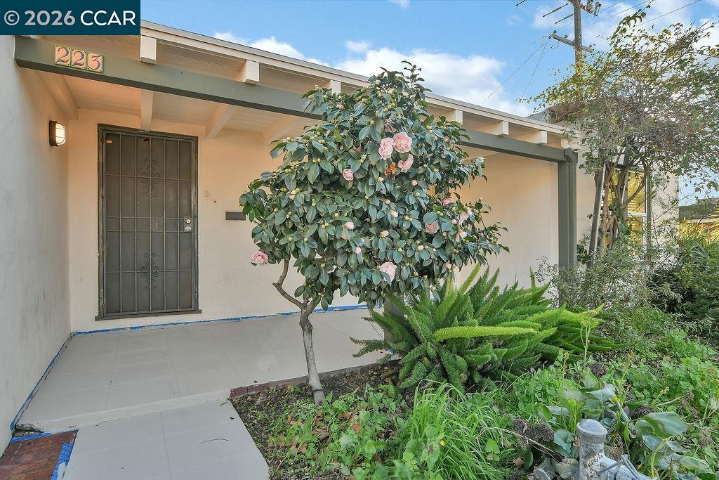 Detail Gallery Image 2 of 39 For 223 W 10th St, Antioch,  CA 94509 - 3 Beds | 1/1 Baths