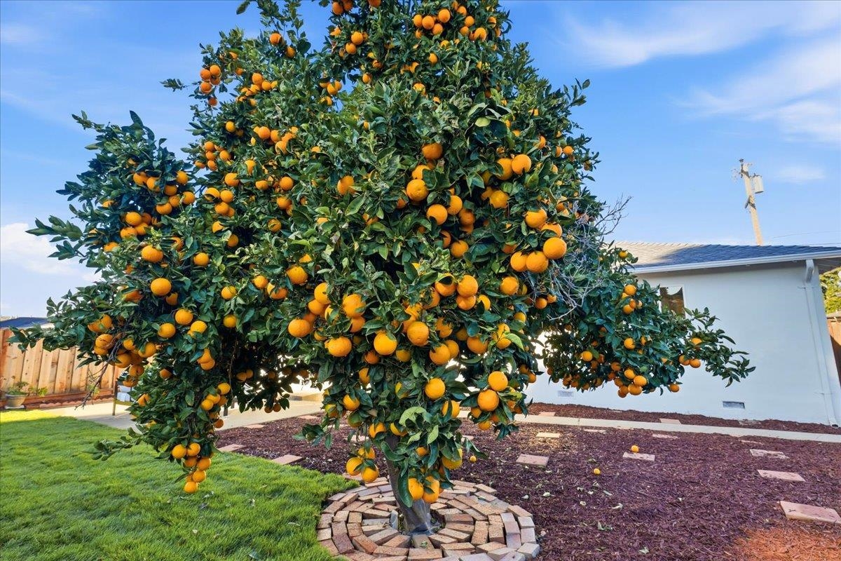 Detail Gallery Image 59 of 60 For 4564 San Juan Ave, Fremont,  CA 94536 - 3 Beds | 2 Baths