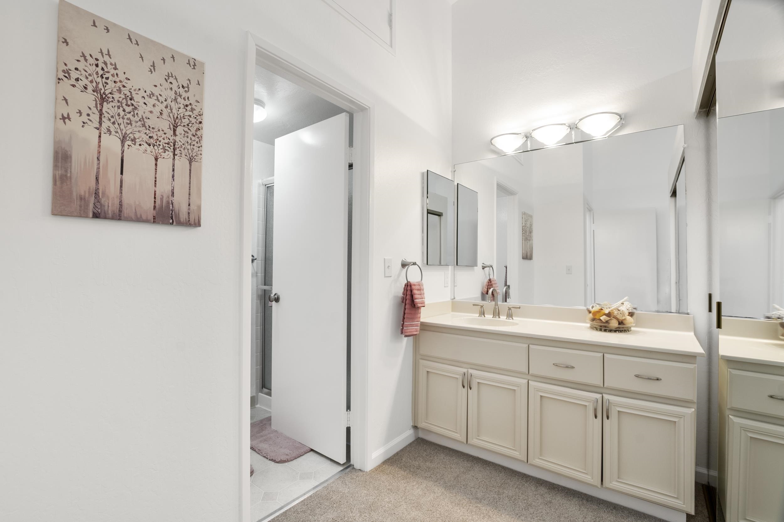 Photo #13: 41120967 Listing: Photo #13