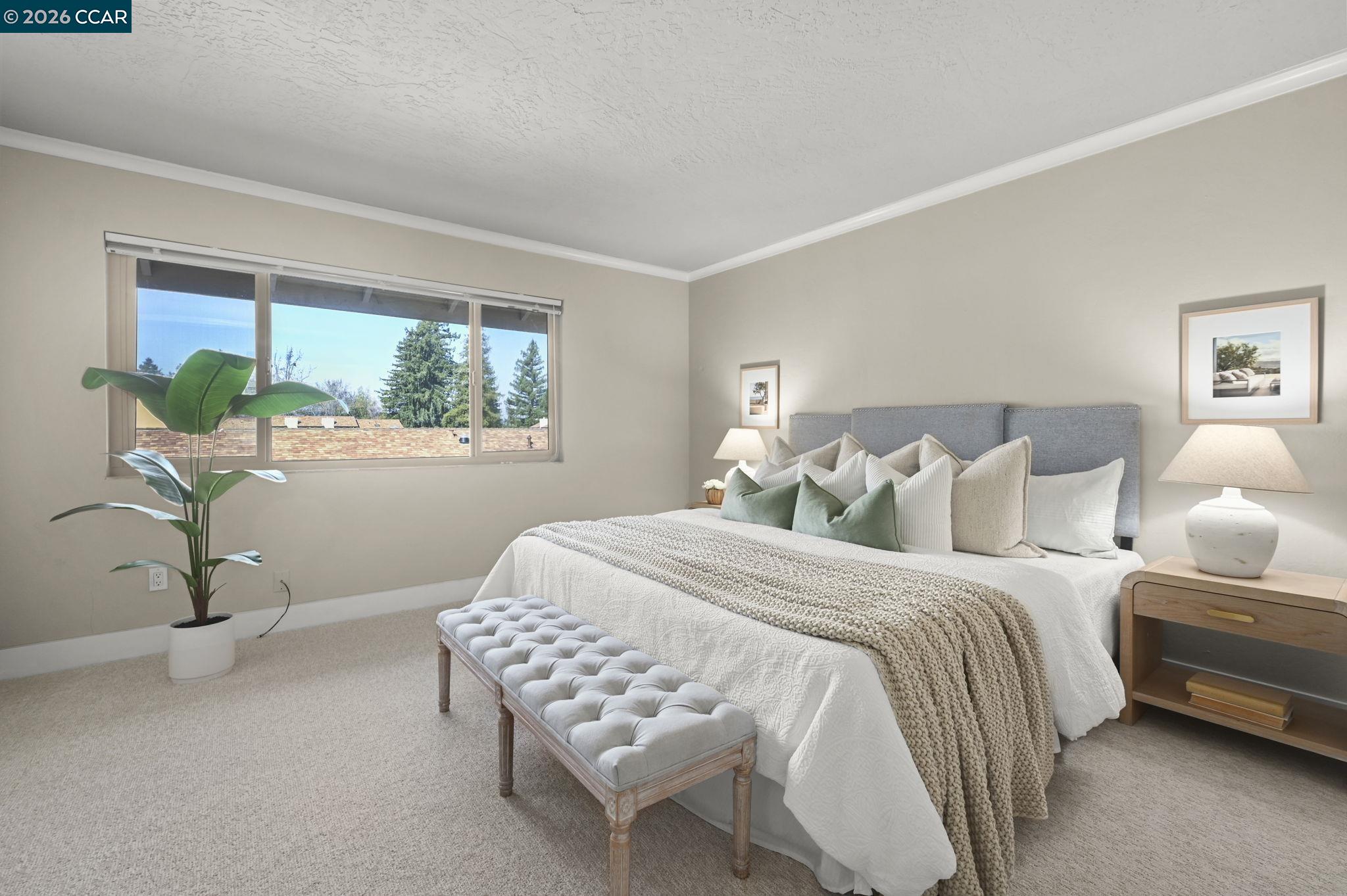 Photo #17: 41120974 Listing: Photo #17