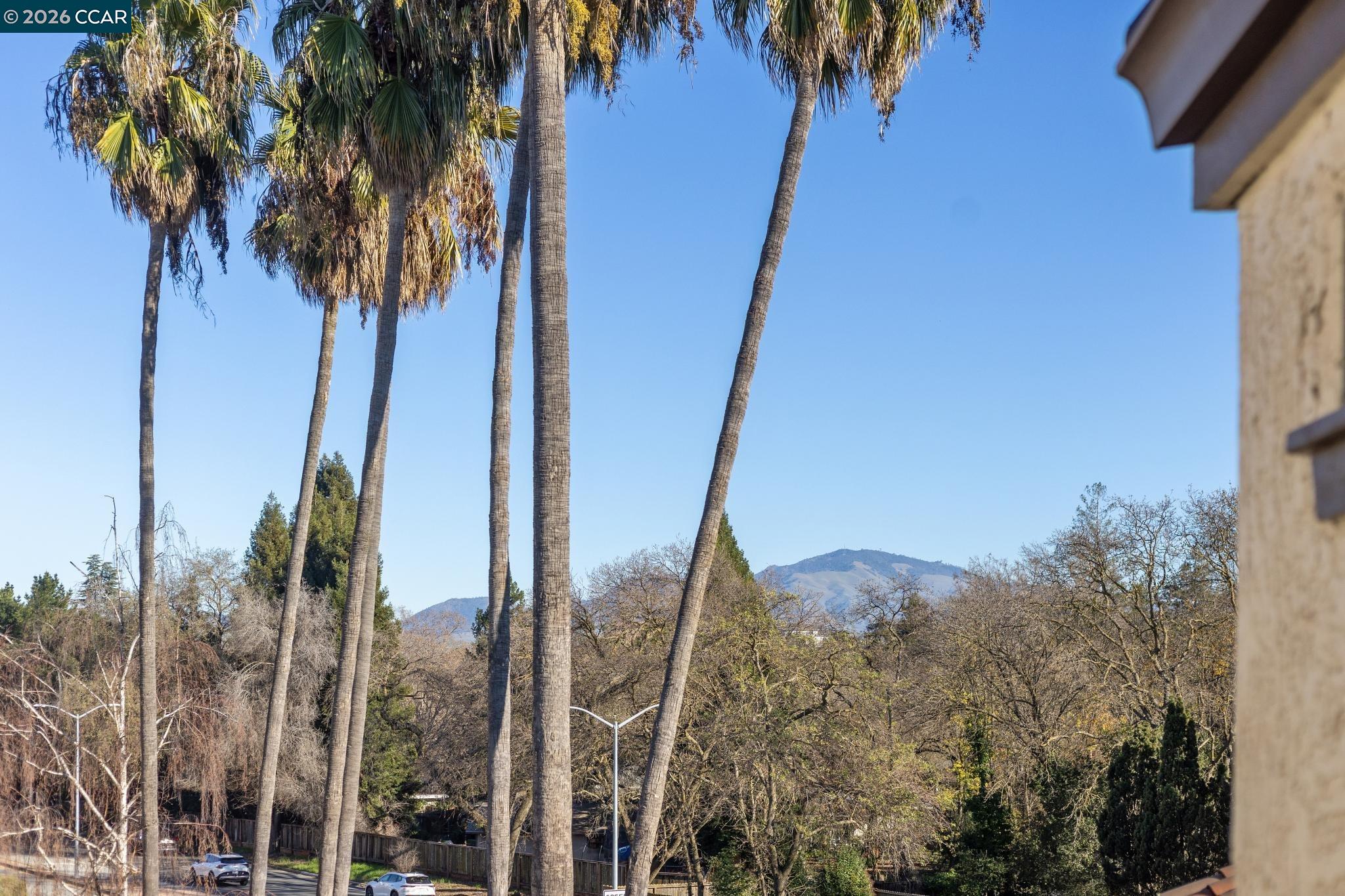 Photo #41: 41120984 Listing: Photo #41