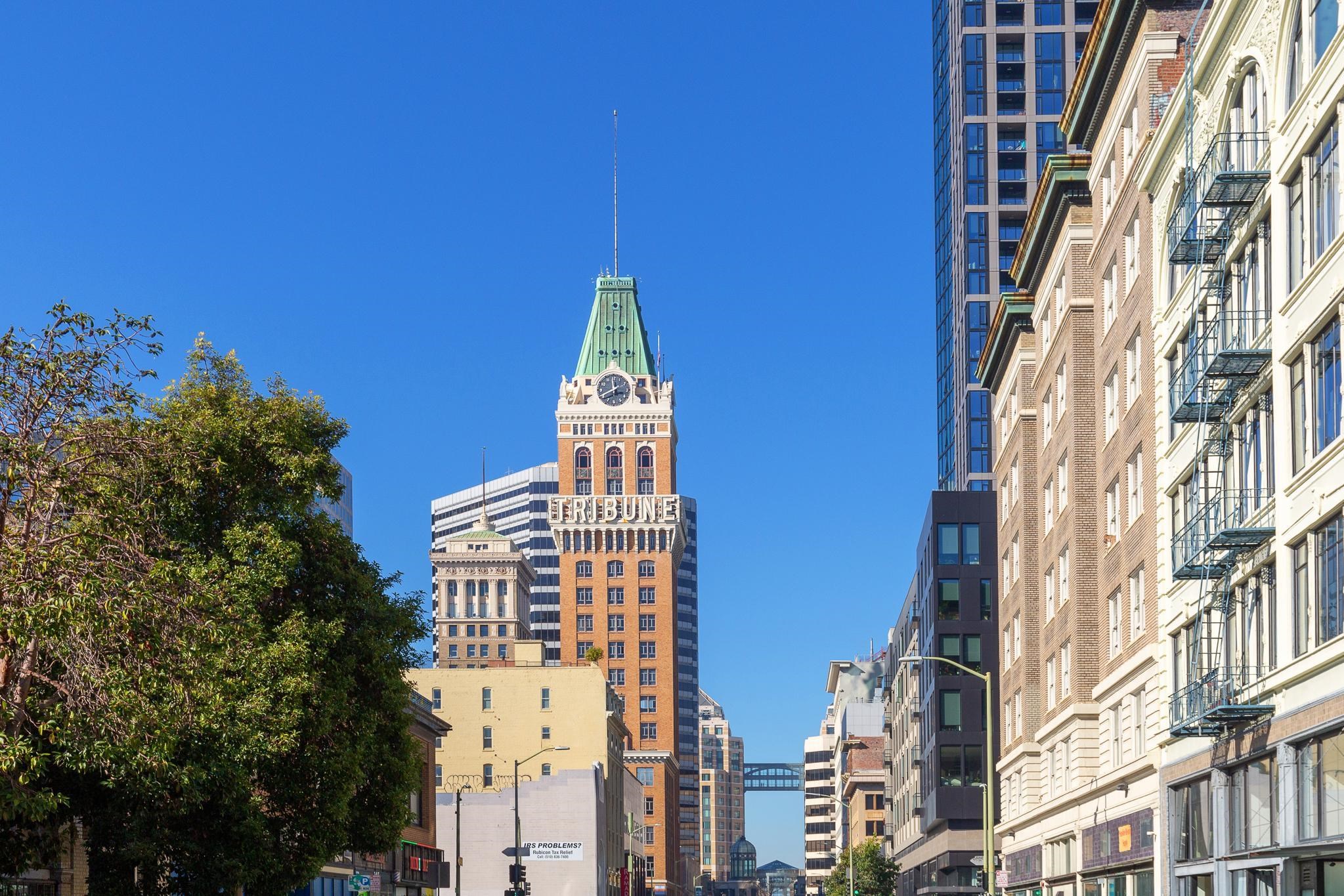 Photo #42: 41120991 Listing: Photo #42