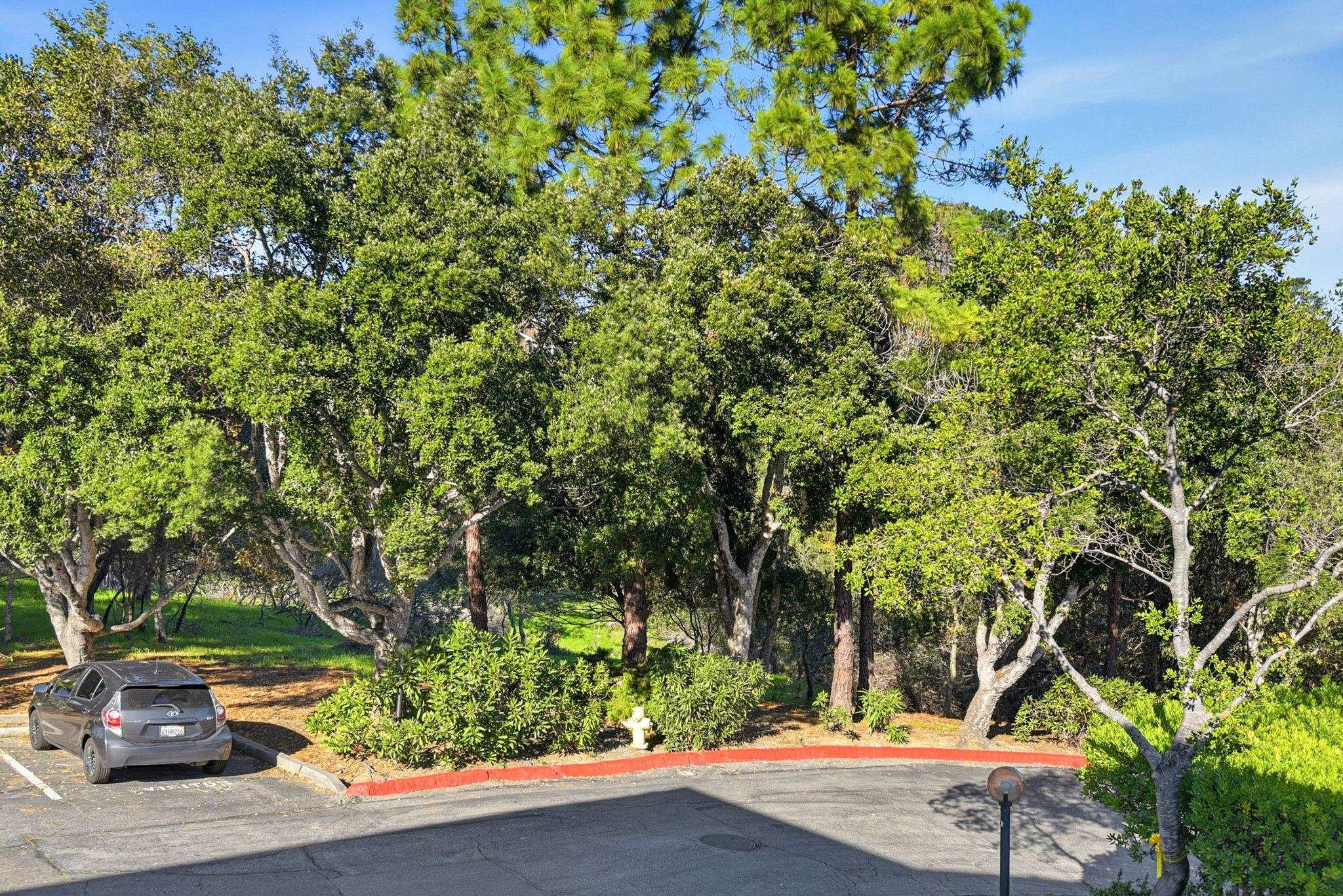 Detail Gallery Image 34 of 39 For 1685 Bayridge Way #208,  San Mateo,  CA 94402 - 2 Beds | 2 Baths