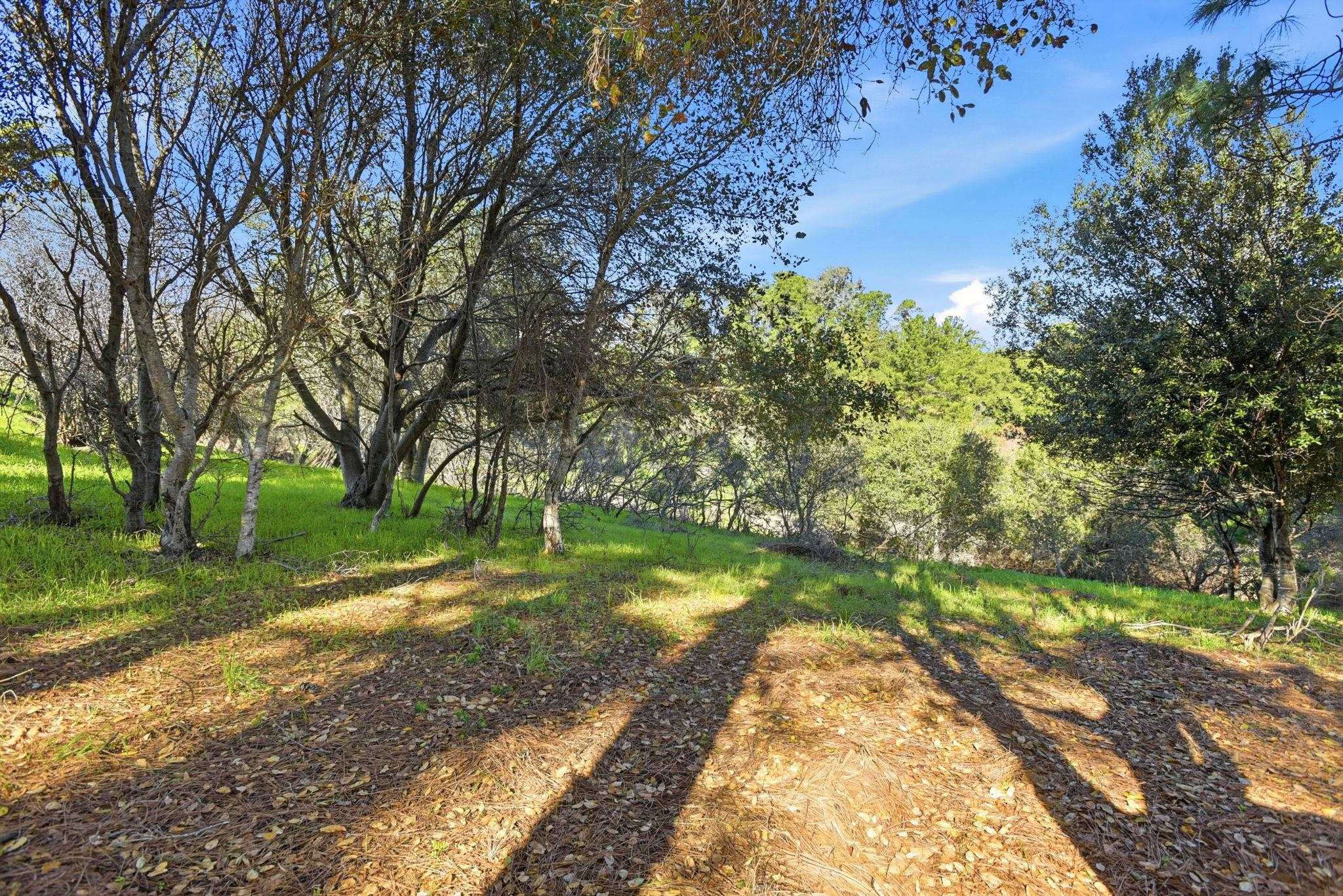 Detail Gallery Image 35 of 39 For 1685 Bayridge Way #208,  San Mateo,  CA 94402 - 2 Beds | 2 Baths