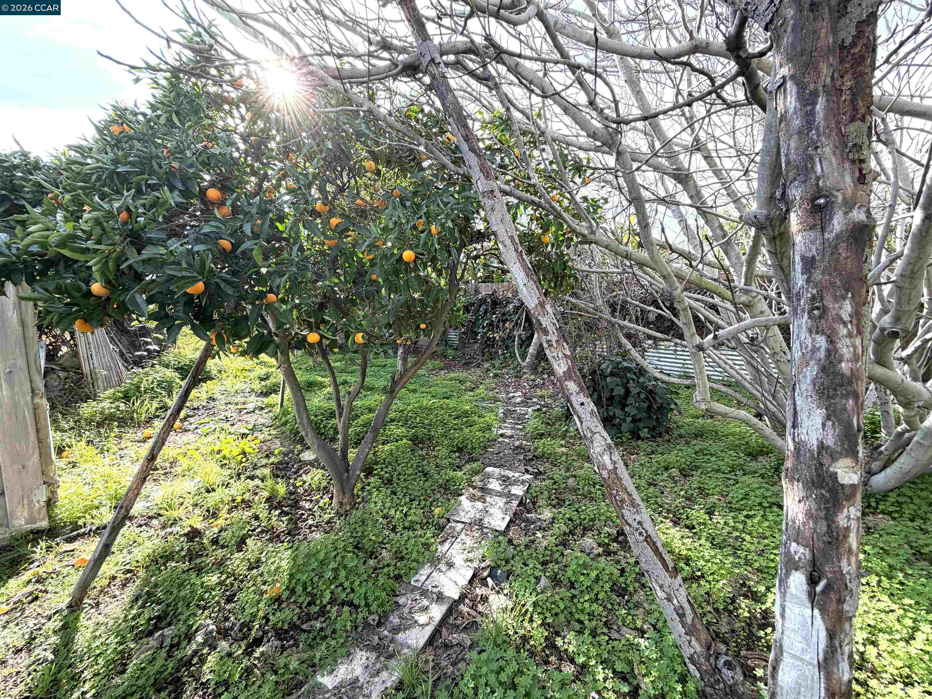 Detail Gallery Image 28 of 28 For 1625 Thrush Ave, San Leandro,  CA 94578 - 2 Beds | 2 Baths