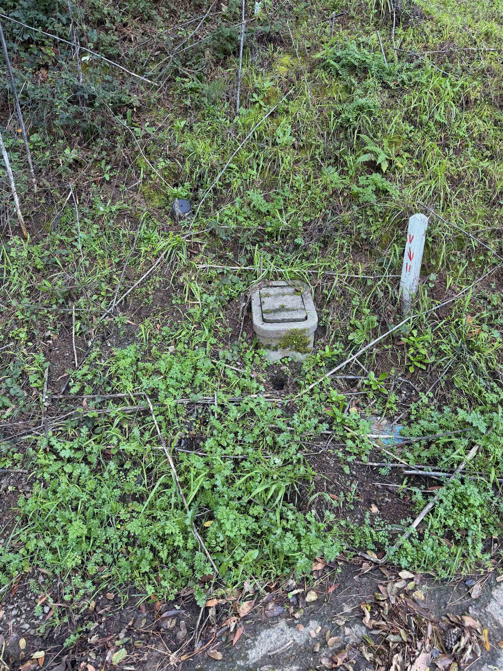 Detail Gallery Image 15 of 15 For 6558 Girvin Dr, Oakland,  CA 94611 - – Beds | – Baths