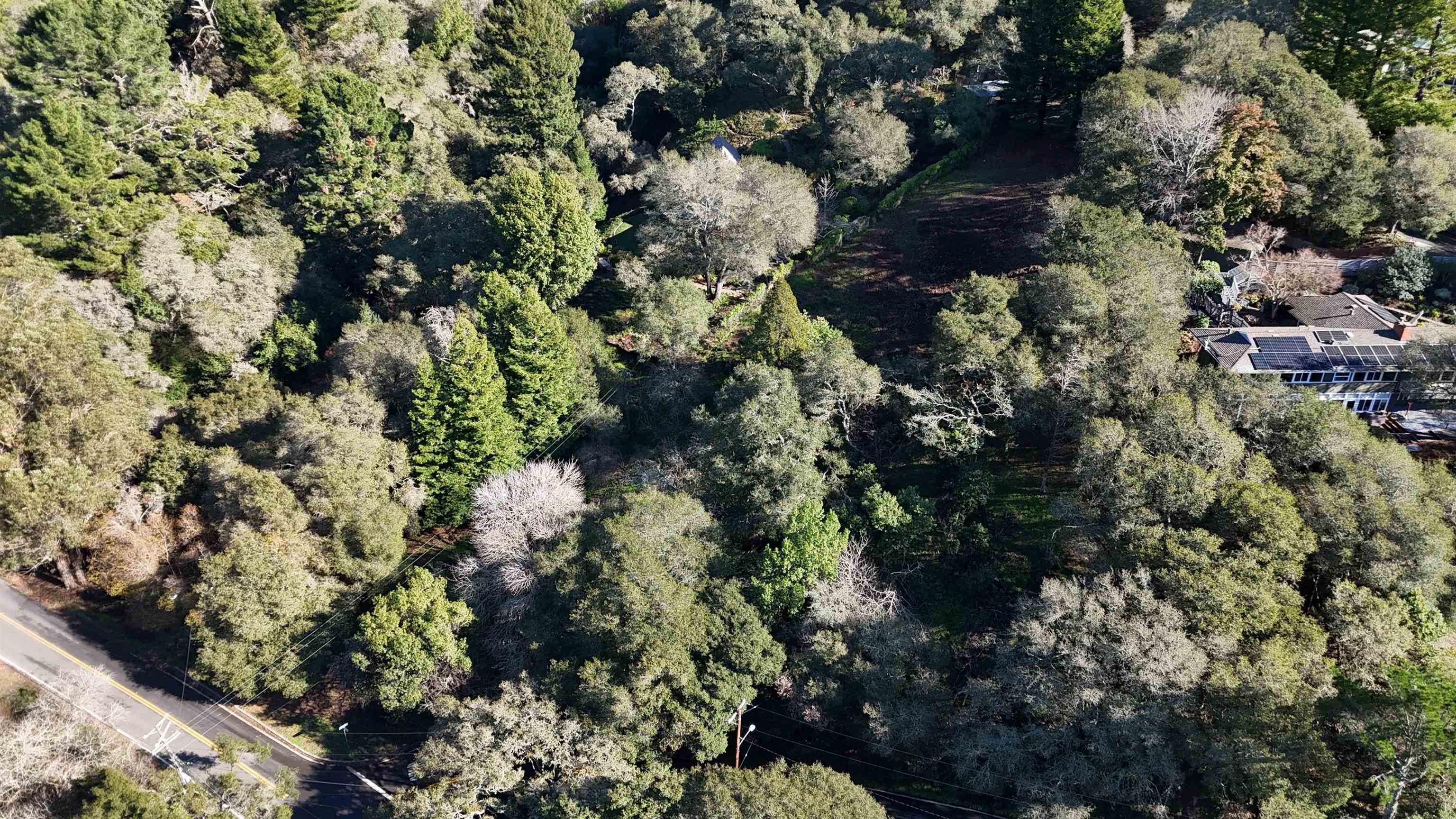 Detail Gallery Image 2 of 8 For 1488 Alvarado Rd., Berkeley,  CA 94705 - – Beds | – Baths