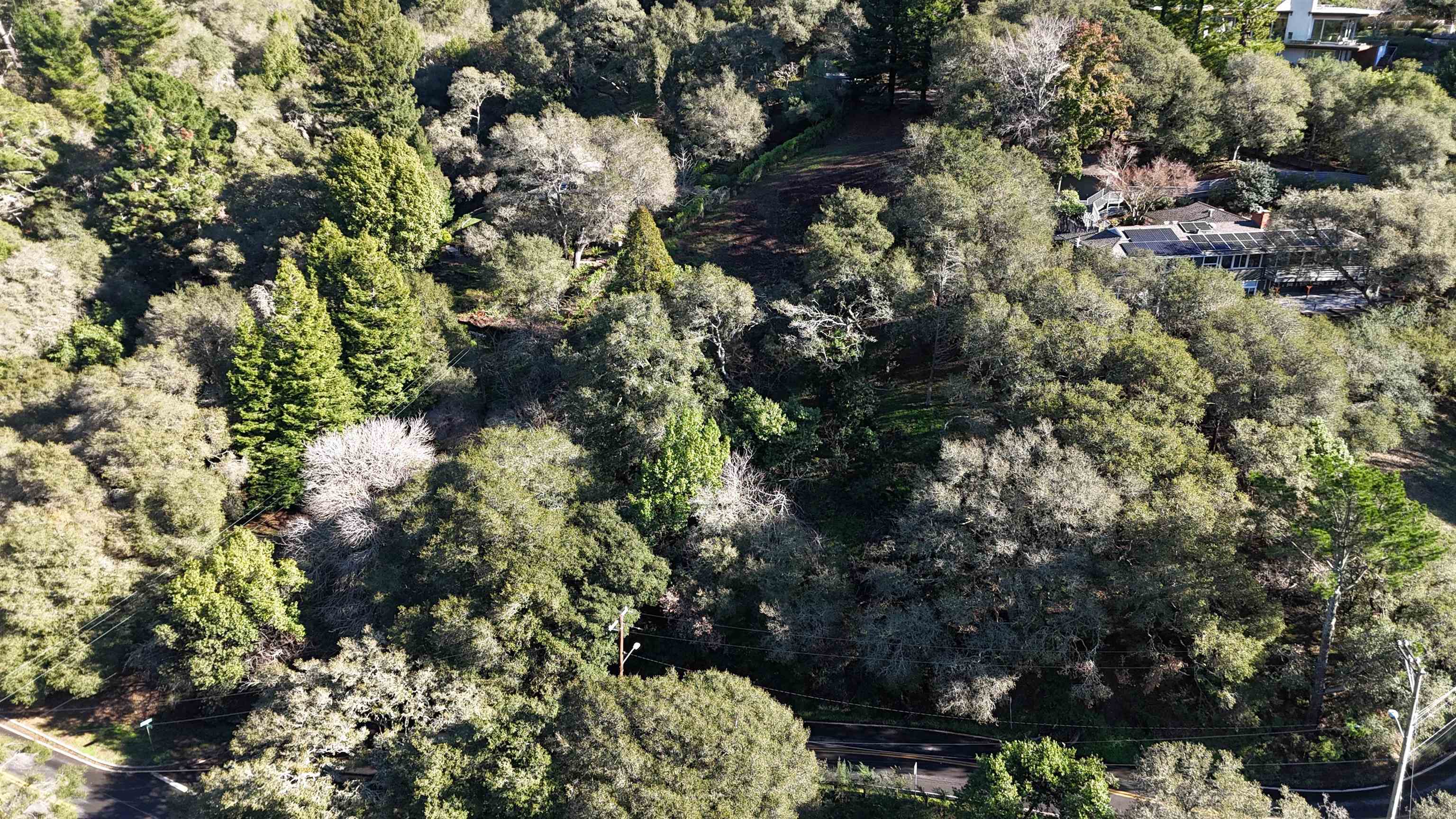 Detail Gallery Image 3 of 8 For 1488 Alvarado Rd., Berkeley,  CA 94705 - – Beds | – Baths