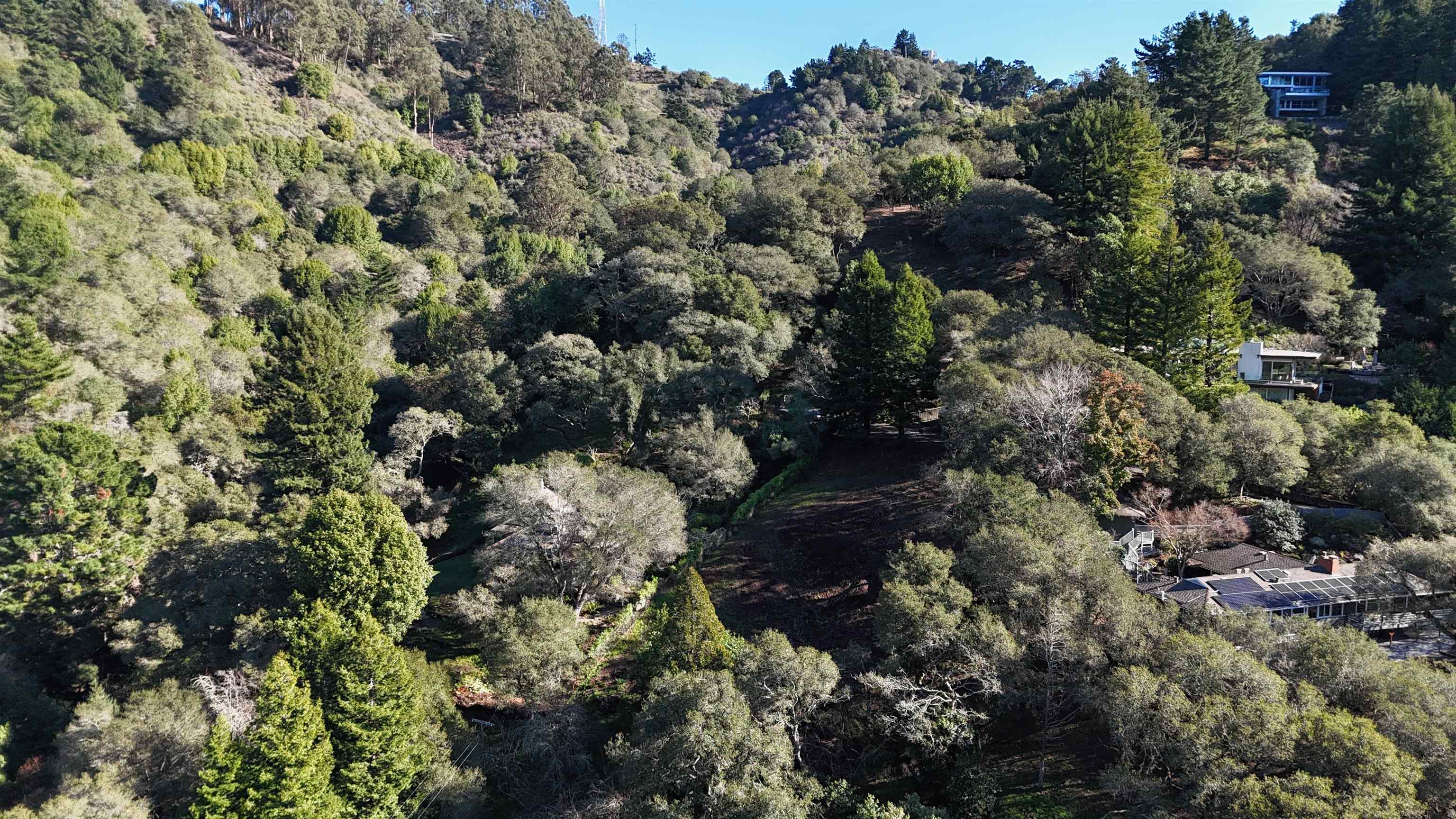 Detail Gallery Image 4 of 8 For 1488 Alvarado Rd., Berkeley,  CA 94705 - – Beds | – Baths