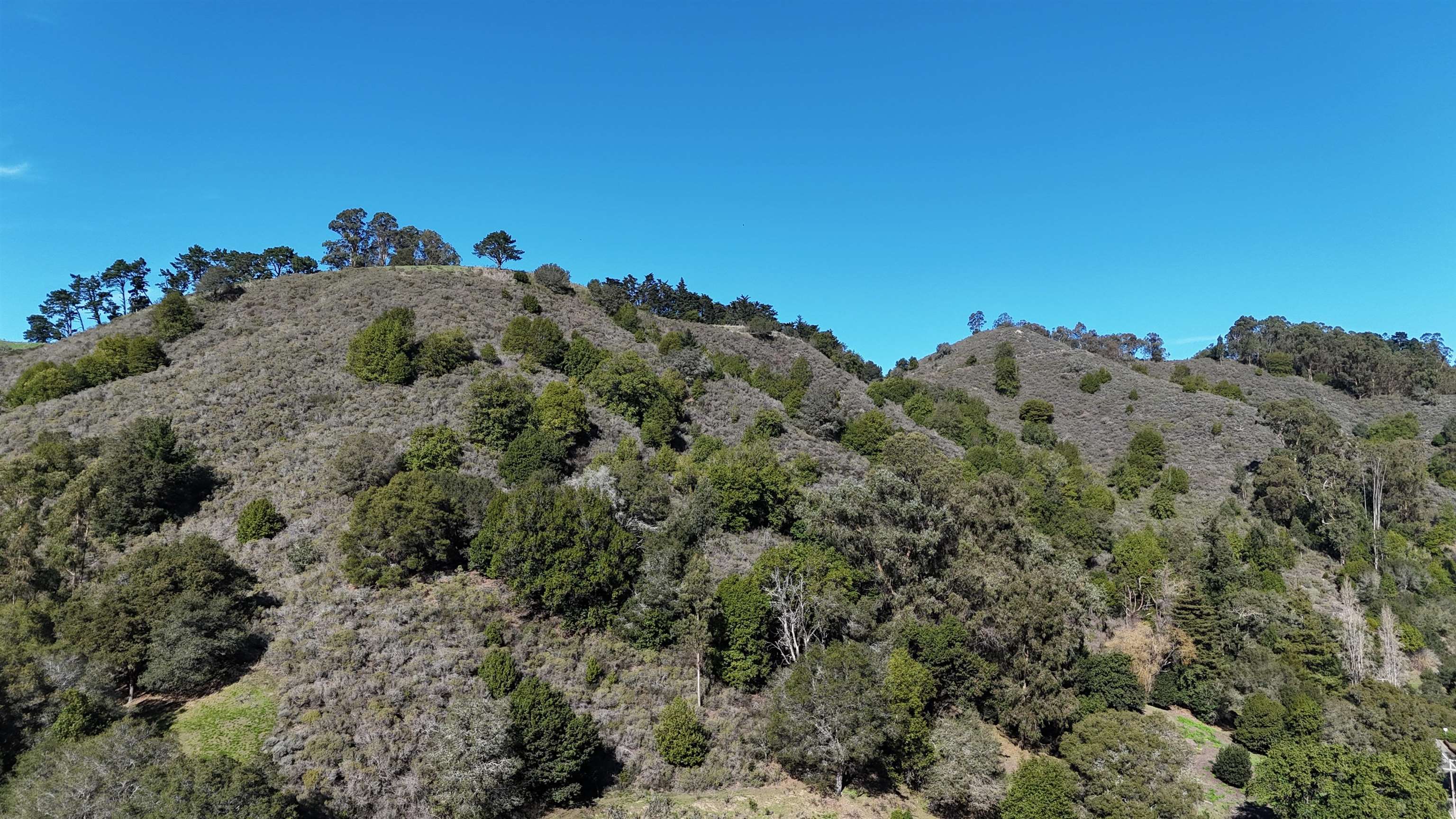 Detail Gallery Image 5 of 8 For 1488 Alvarado Rd., Berkeley,  CA 94705 - – Beds | – Baths