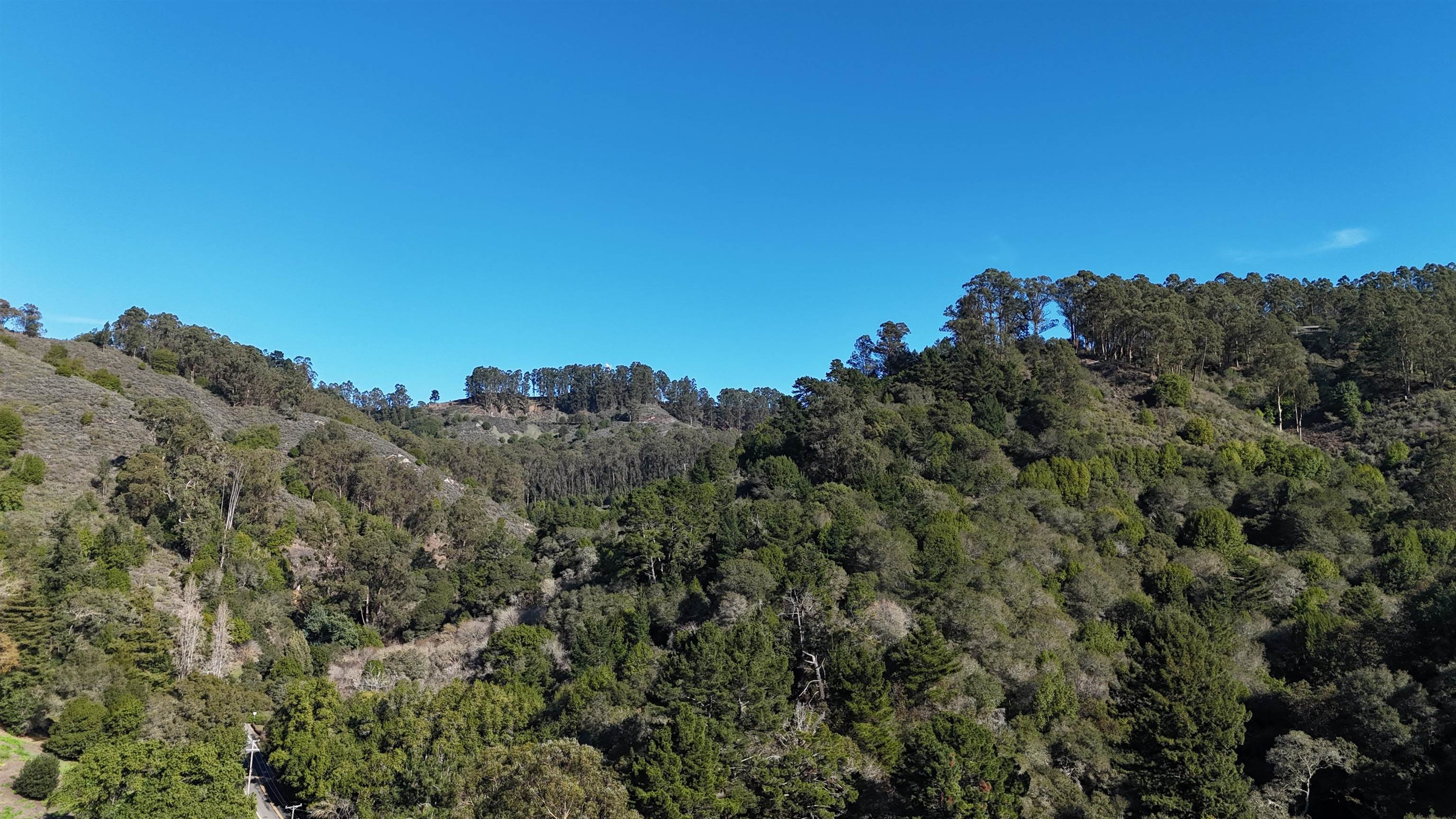 Detail Gallery Image 6 of 8 For 1488 Alvarado Rd., Berkeley,  CA 94705 - – Beds | – Baths