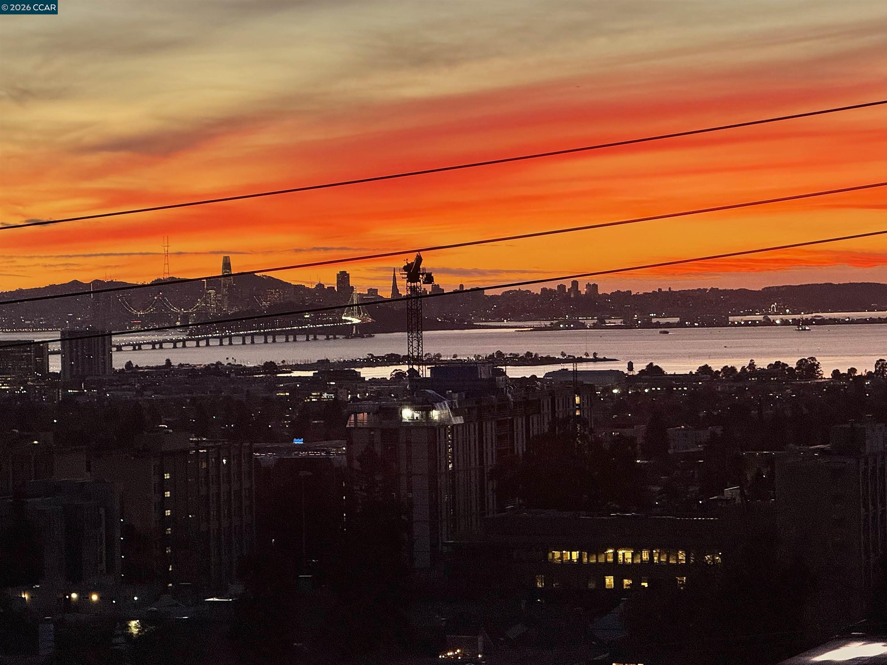 Photo #37: 41121047 Listing: Photo #37