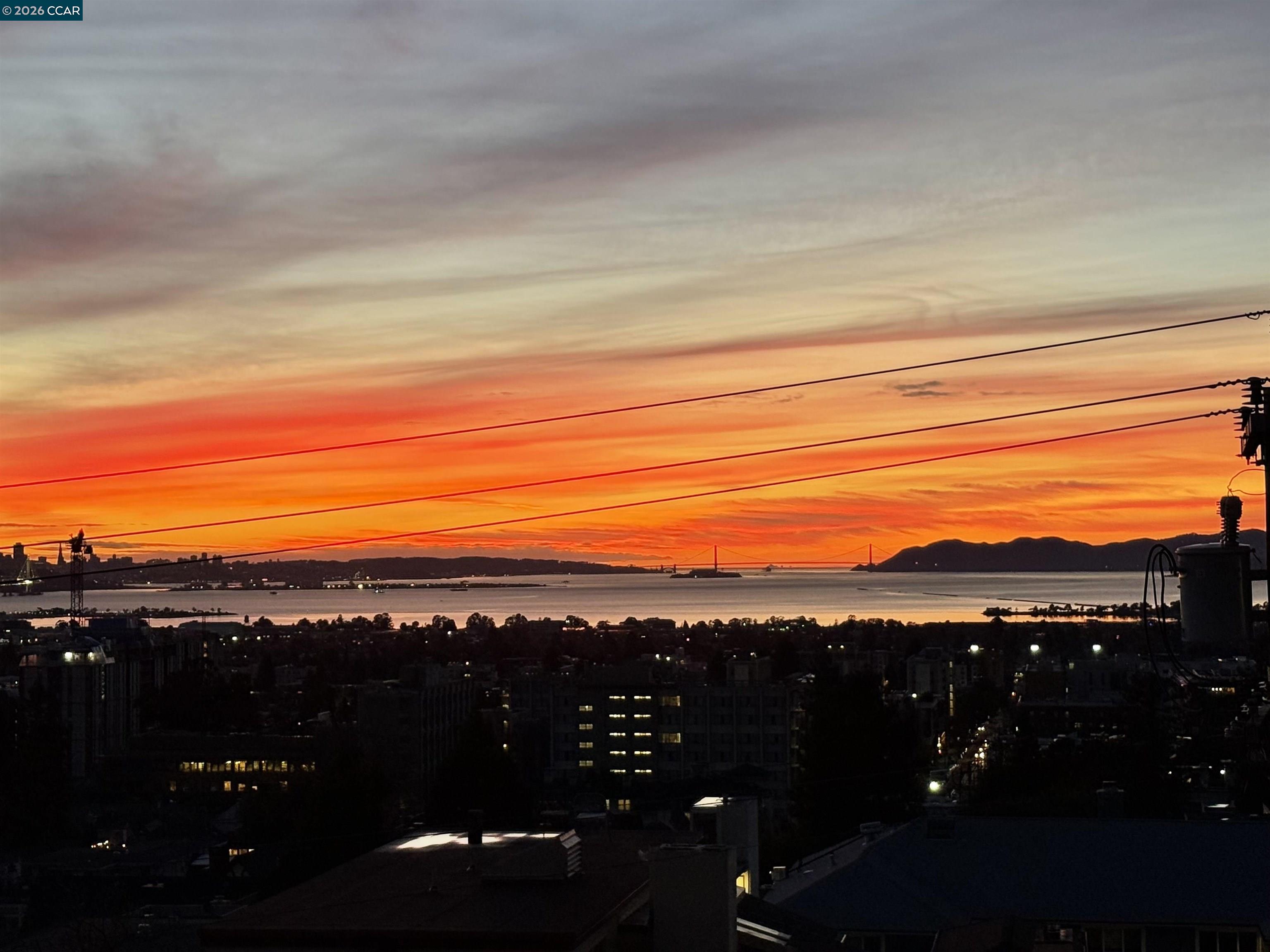 Photo #39: 41121047 Listing: Photo #39