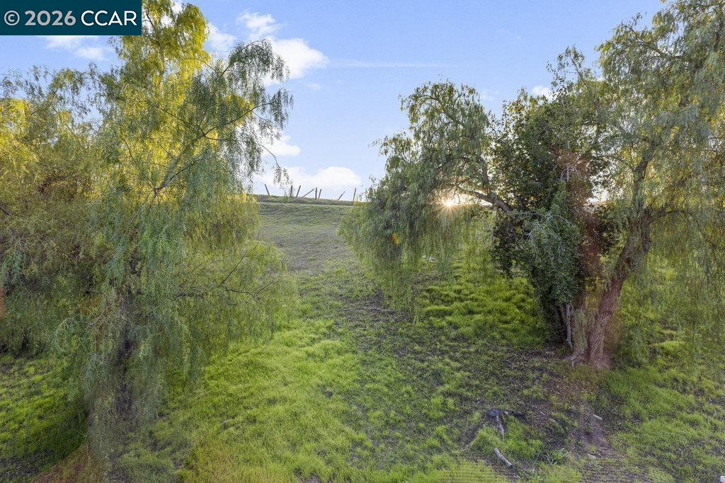 Photo #34: 41121053 Listing: Photo #34