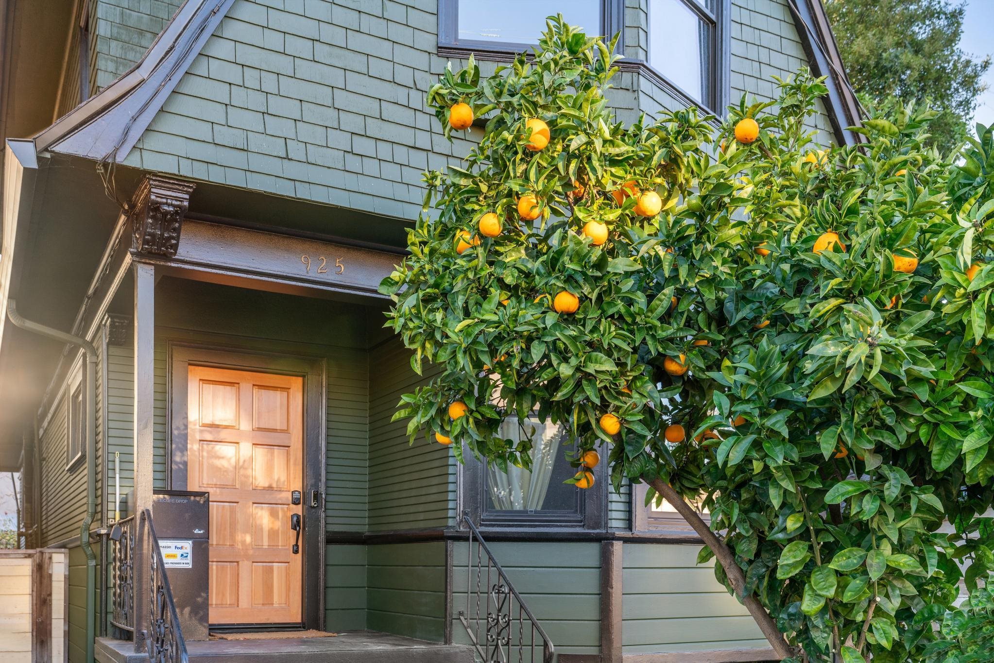 Detail Gallery Image 3 of 41 For 925 E 19th St, Oakland,  CA 94606 - 3 Beds | 2 Baths