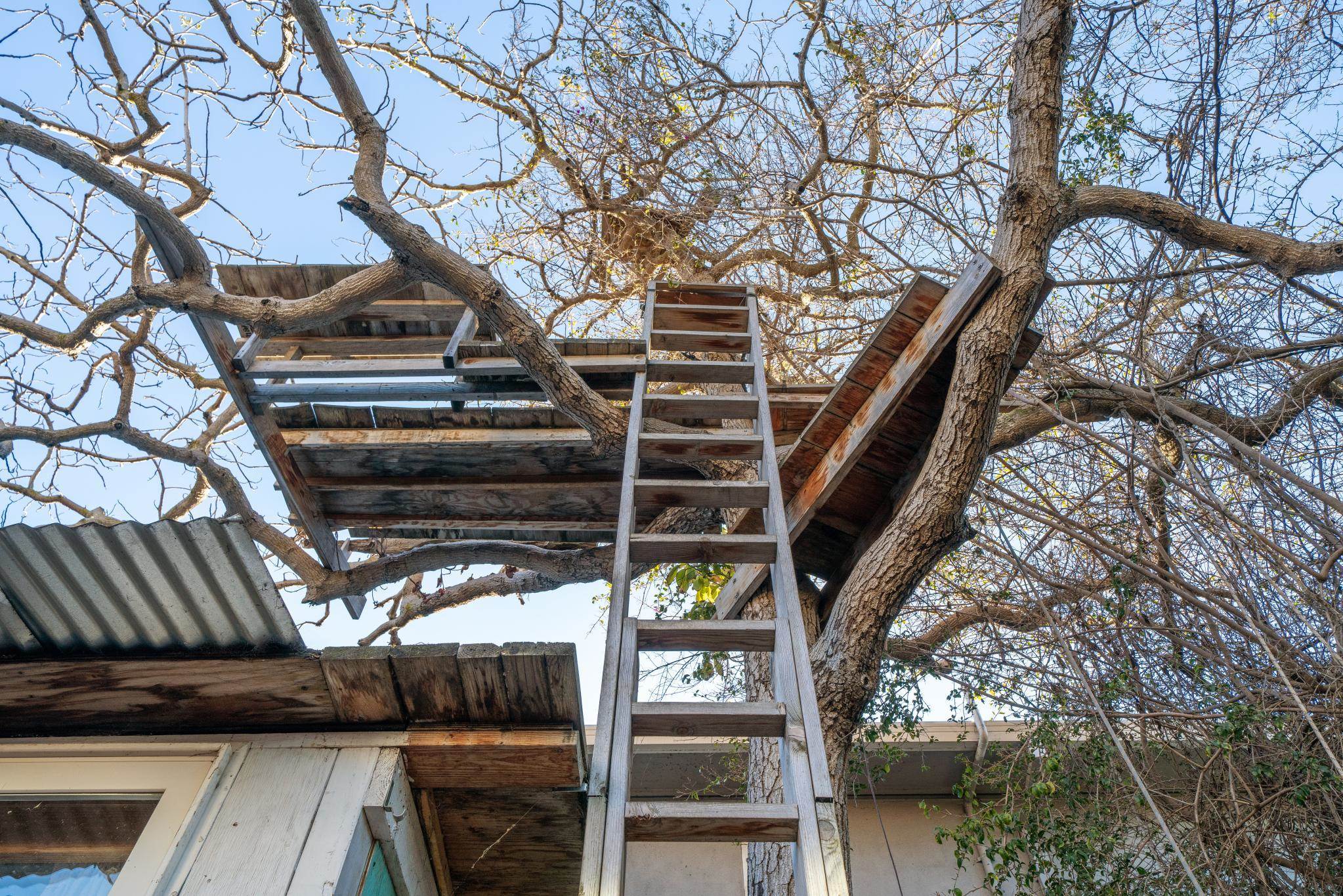 Detail Gallery Image 39 of 41 For 925 E 19th St, Oakland,  CA 94606 - 3 Beds | 2 Baths