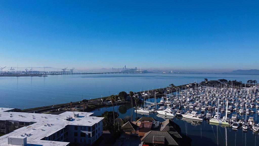 Photo #57: 41121062 Listing: Photo #57