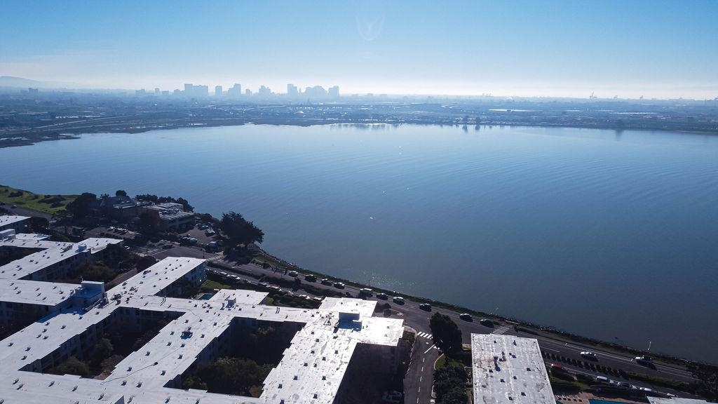 Photo #59: 41121062 Listing: Photo #59