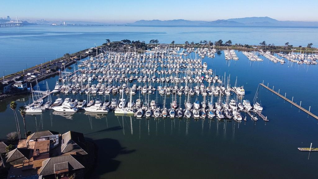 Photo #60: 41121062 Listing: Photo #60