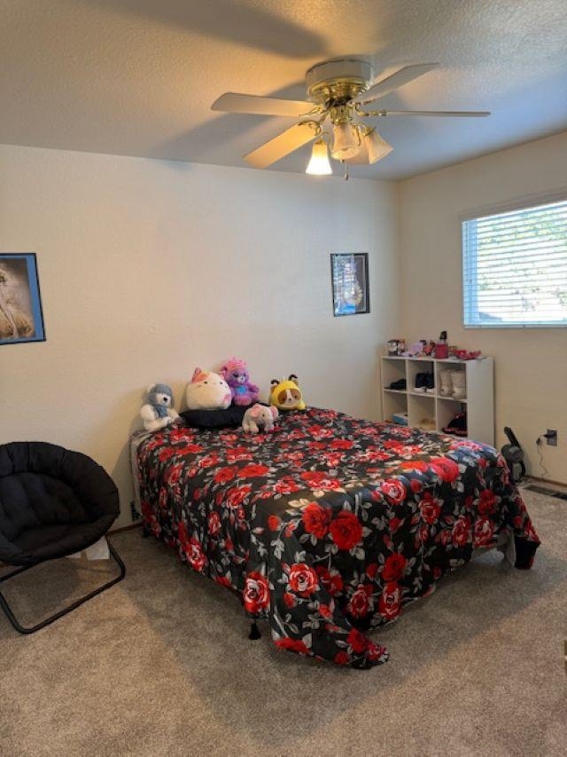 Detail Gallery Image 21 of 31 For 3800 Marigold Lane, Modesto,  CA 95356 - 3 Beds | 2 Baths