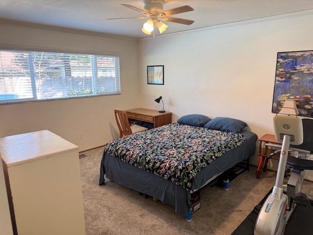 Detail Gallery Image 23 of 31 For 3800 Marigold Lane, Modesto,  CA 95356 - 3 Beds | 2 Baths