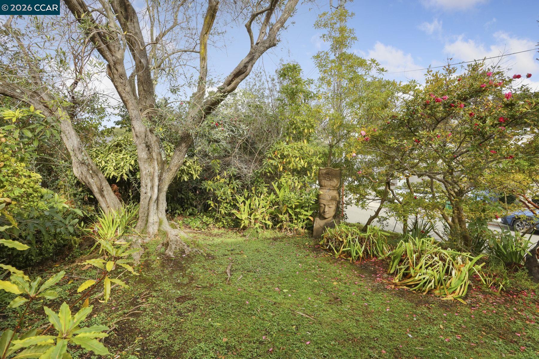 Detail Gallery Image 8 of 55 For 204 El Camino Real, Berkeley,  CA 94705-2825 - 5 Beds | 3/1 Baths