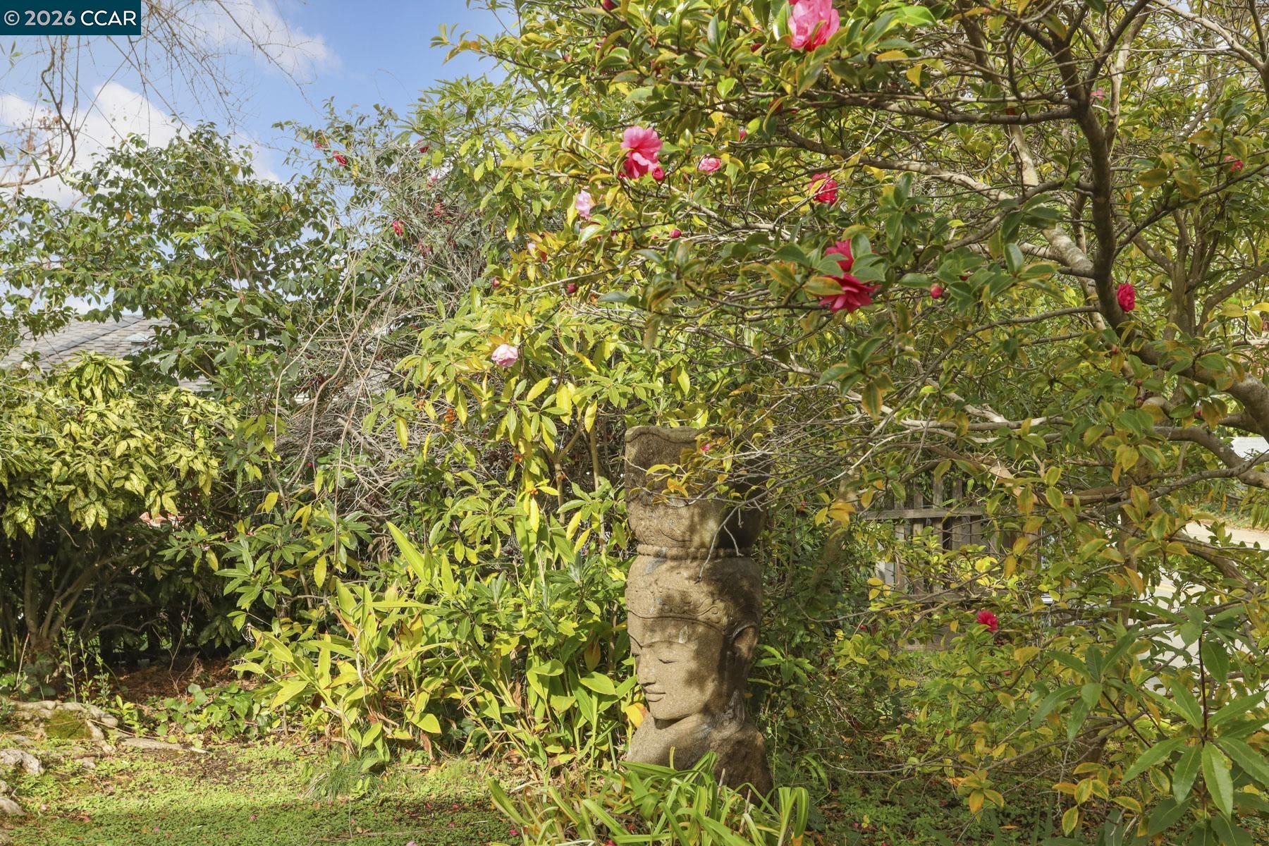 Detail Gallery Image 9 of 55 For 204 El Camino Real, Berkeley,  CA 94705-2825 - 5 Beds | 3/1 Baths