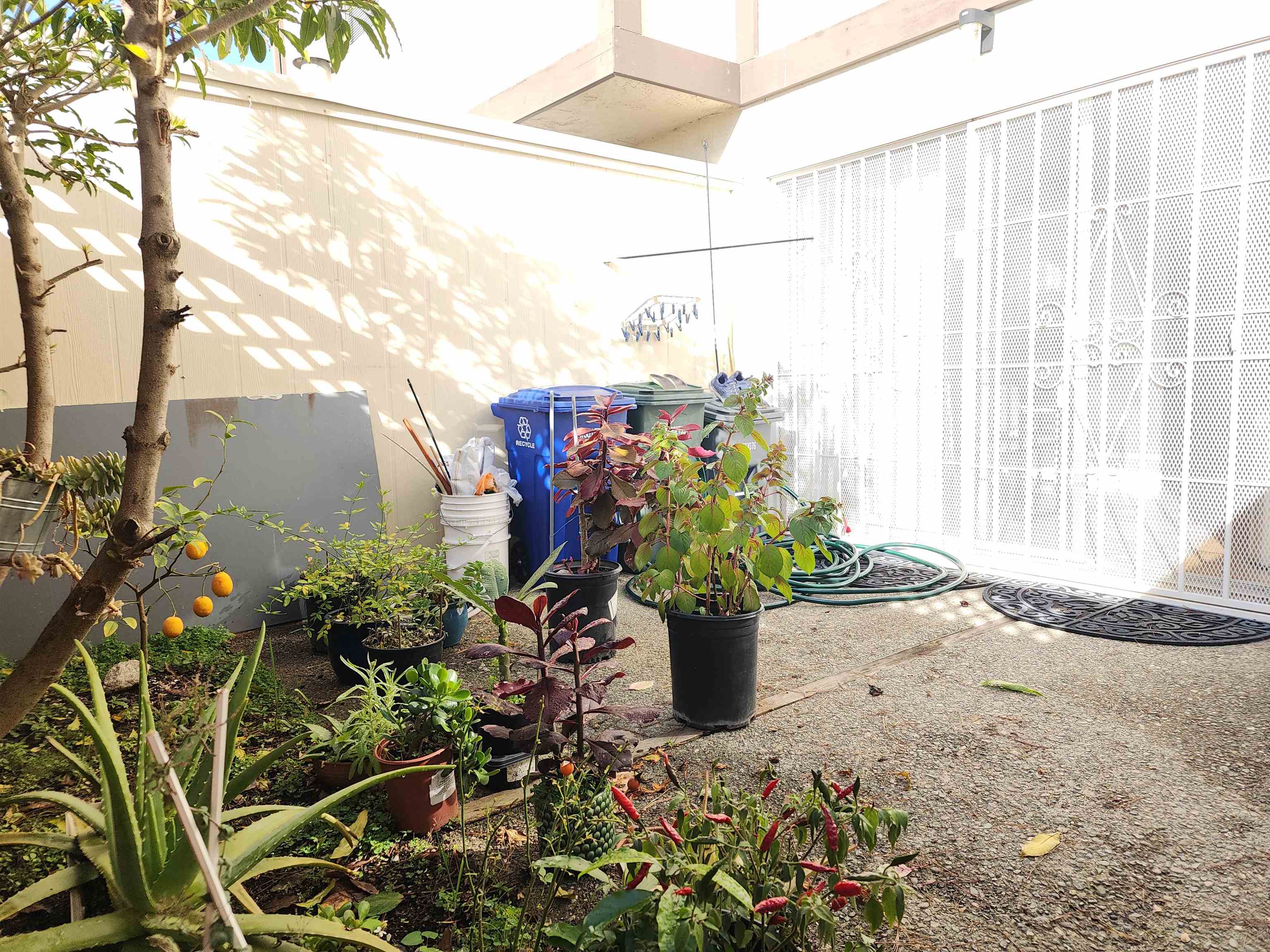 Detail Gallery Image 12 of 21 For 2322 Belvedere Ave, San Leandro,  CA 94577 - 2 Beds | 1/1 Baths