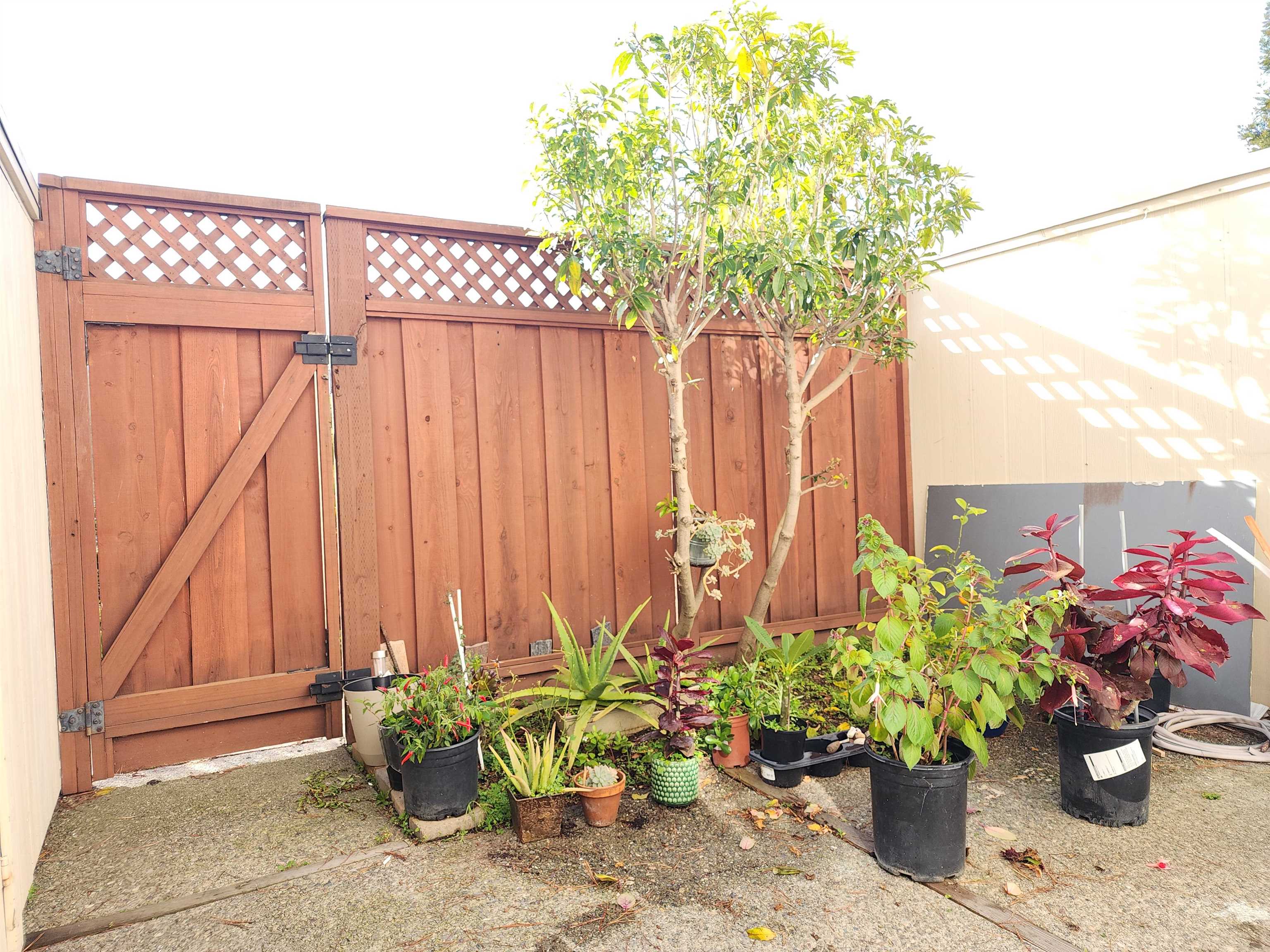 Detail Gallery Image 14 of 21 For 2322 Belvedere Ave, San Leandro,  CA 94577 - 2 Beds | 1/1 Baths