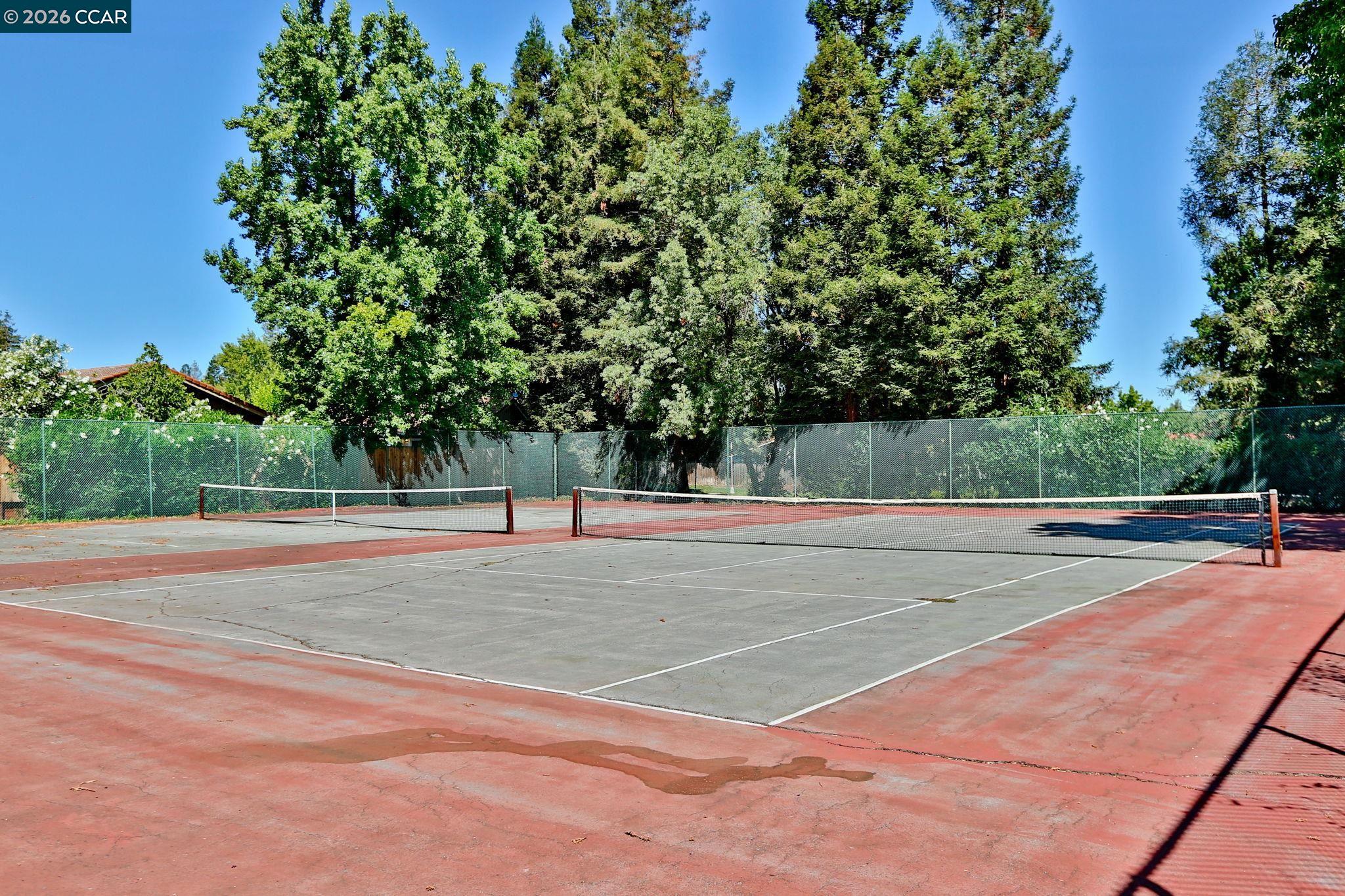 Photo #23: 41121097 Listing: Photo #23