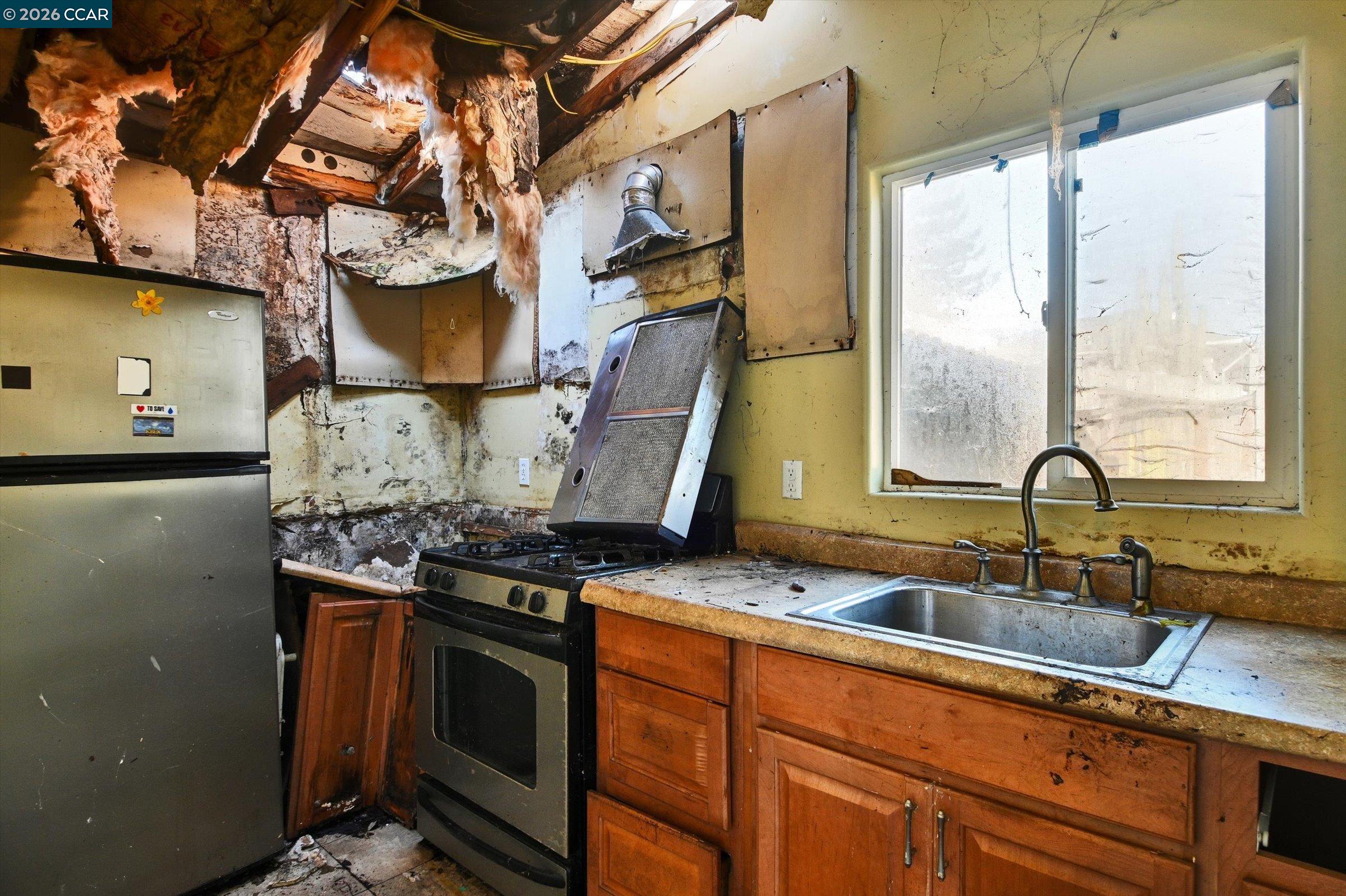 Detail Gallery Image 38 of 40 For 1711 Carleton St, Berkeley,  CA 94703 - 4 Beds | 1 Baths