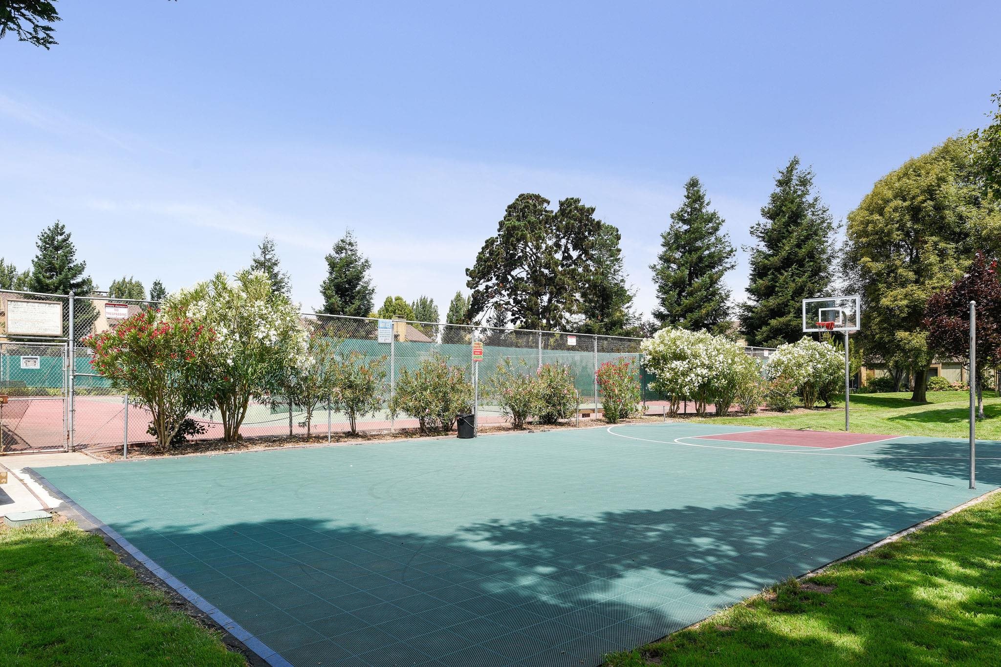 Photo #54: 41121134 Listing: Photo #54