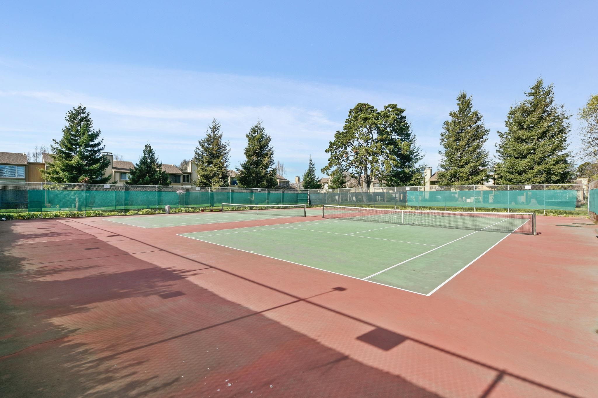 Photo #55: 41121134 Listing: Photo #55