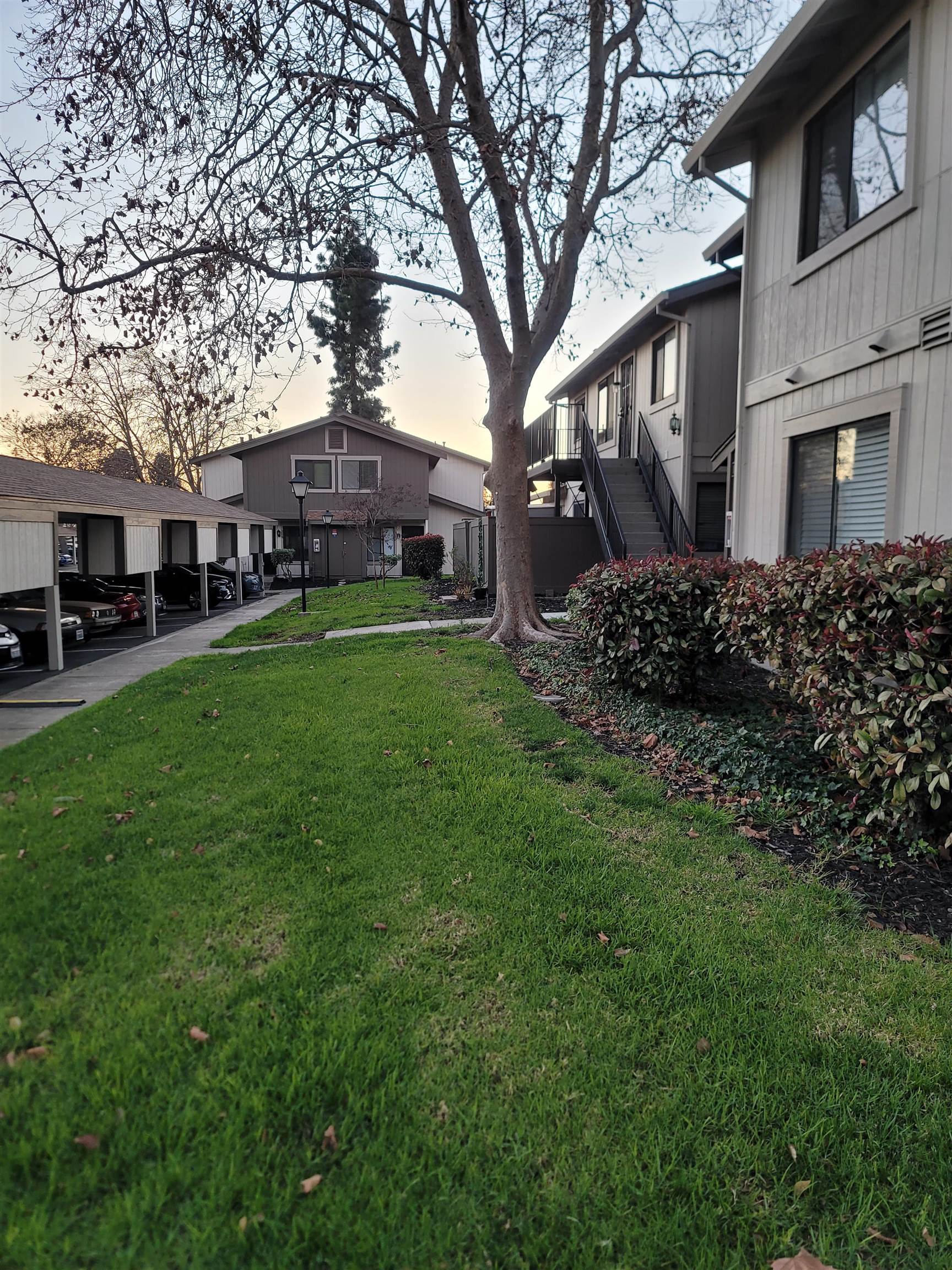 Photo #4: 41121142 Listing: Photo #4