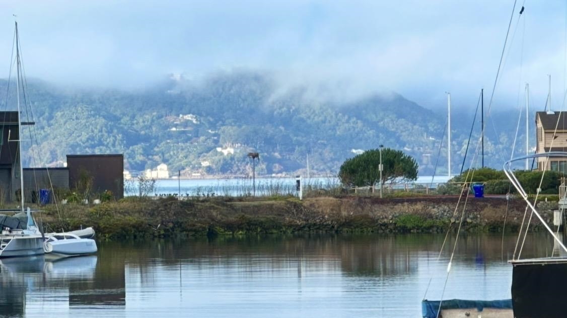 Detail Gallery Image 4 of 8 For 1457 Sandpiper Spit, Richmond,  CA 94801 - – Beds | – Baths