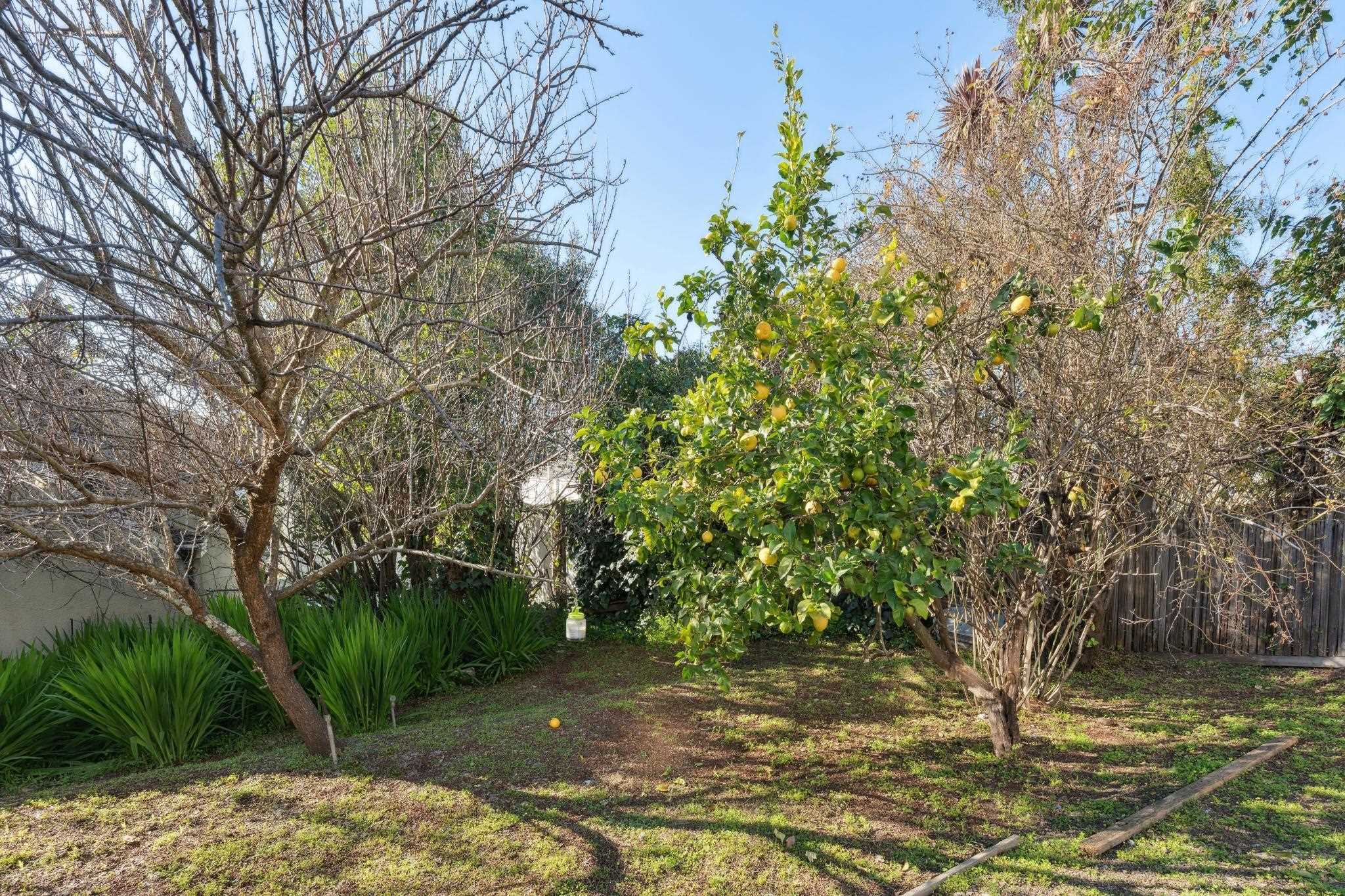 Detail Gallery Image 48 of 50 For 37 Monticello Ave, Piedmont,  CA 94611 - 3 Beds | 2 Baths