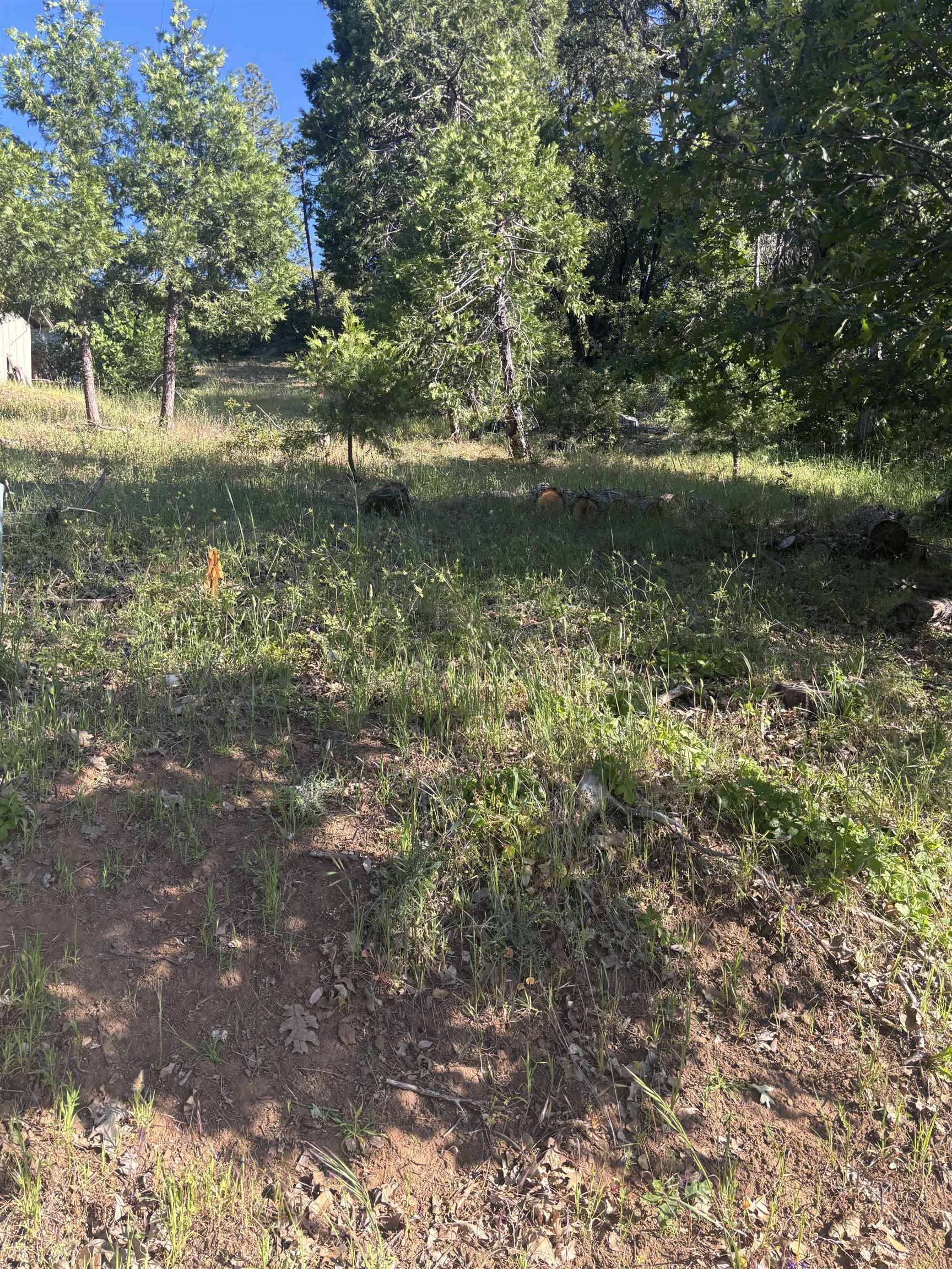 Detail Gallery Image 5 of 9 For 00000 Eastview Dr, Tuolumne,  CA 95379 - – Beds | – Baths